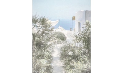 Komar Fototapete »Côte d’Azur«, botanisch-tropisch-Motiv, BxL: 200x250 cm, 150 g/m²,... kaufen