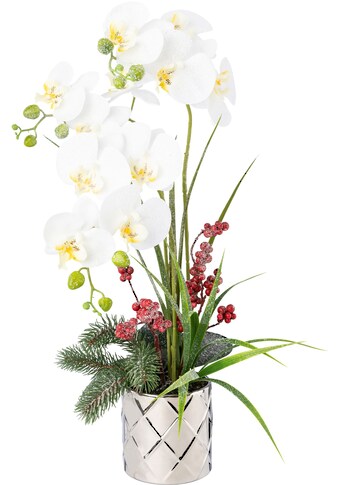 Creativ green Winterliche Kunstpflanze »Weihnachtsdeko«, (1 St.), im Keramiktopf,... kaufen