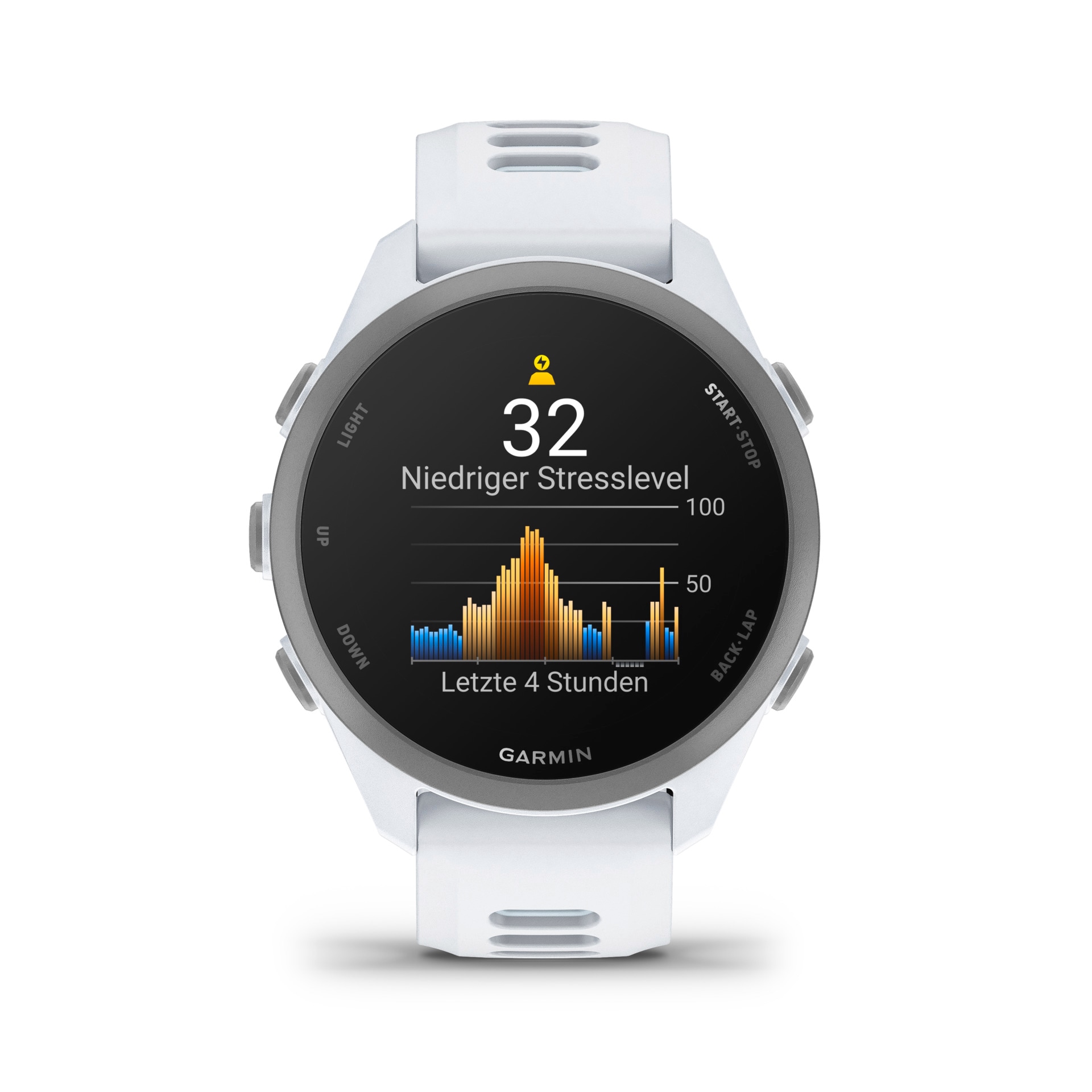 Garmin Smartwatch »Forerunner 170 mit Silikonarmband 20 mm«(/ 1,2 ″)