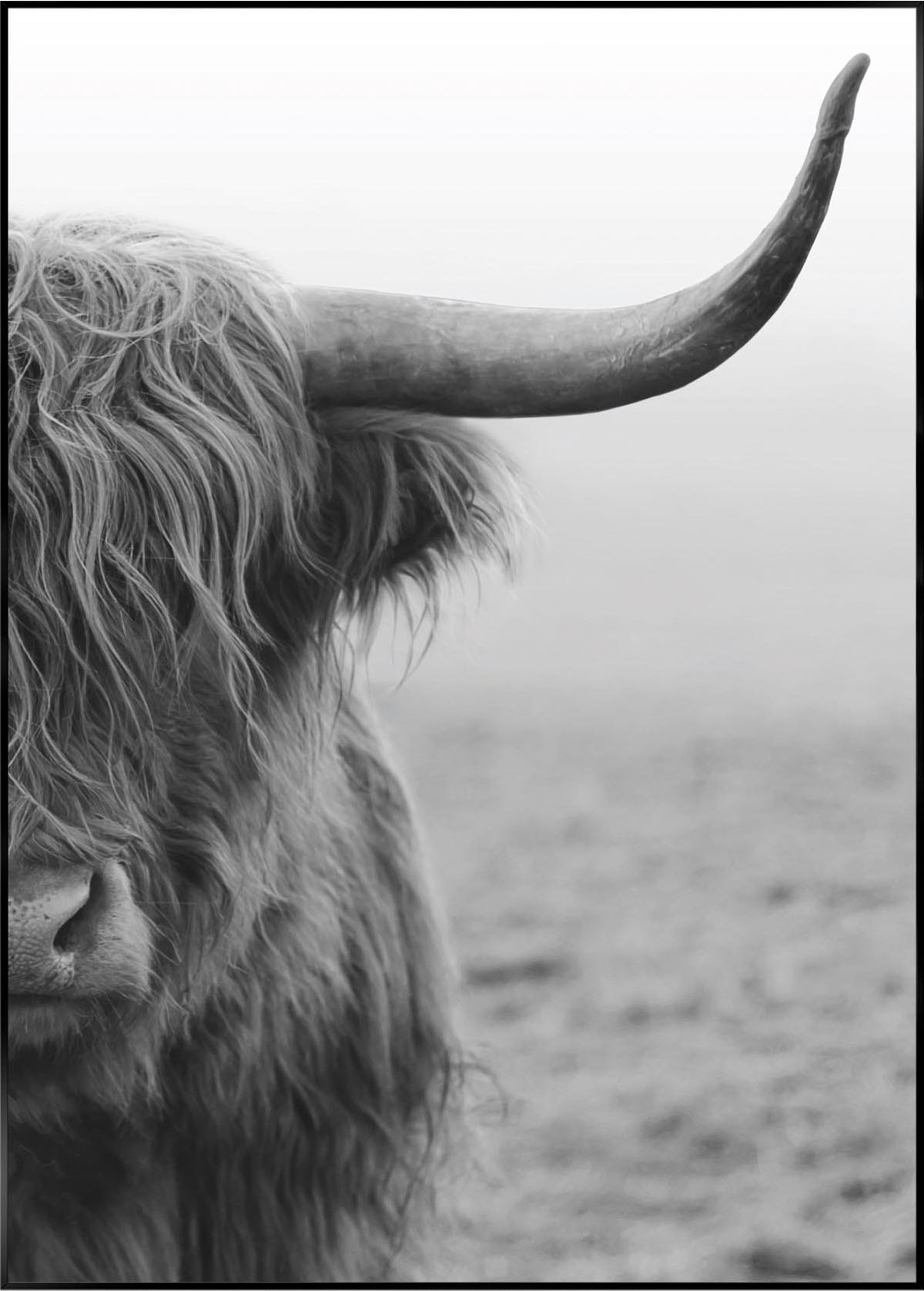 Reinders! Wandbild Frame Shop OTTO Black Online 50x70 im »Slim Highlander«