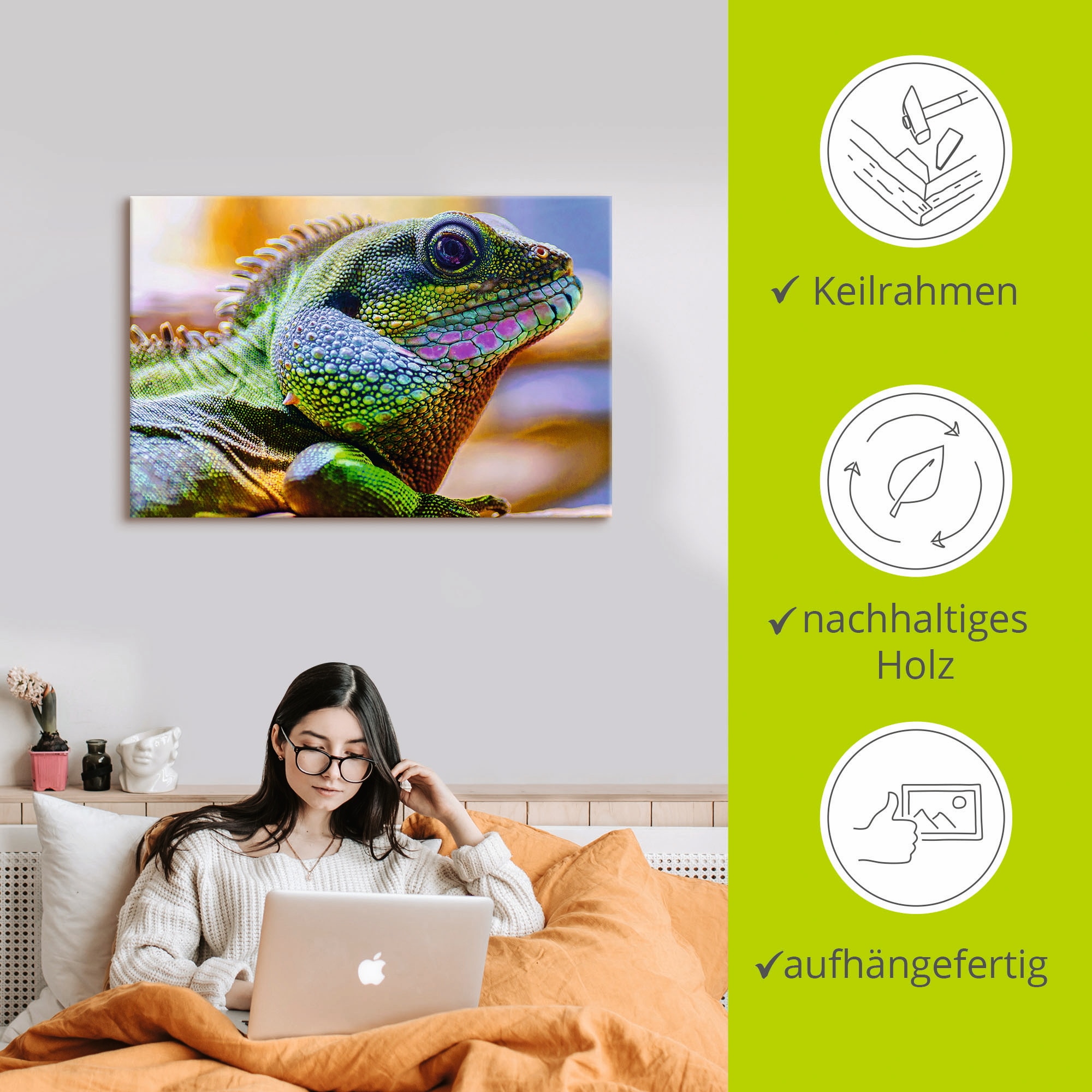 Artland Leinwandbild »Farbiger Kopf eines Leguan«, Reptilien, (1 St.), auf Keilrahmen gespannt