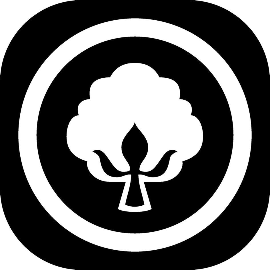 fan Naturhaarbettdecke »Kamelhaar«, leicht, Füllung 100 % Kamelhaar, Bezug Baumwoll-Perkal, (1 St.), „Made in Germany“