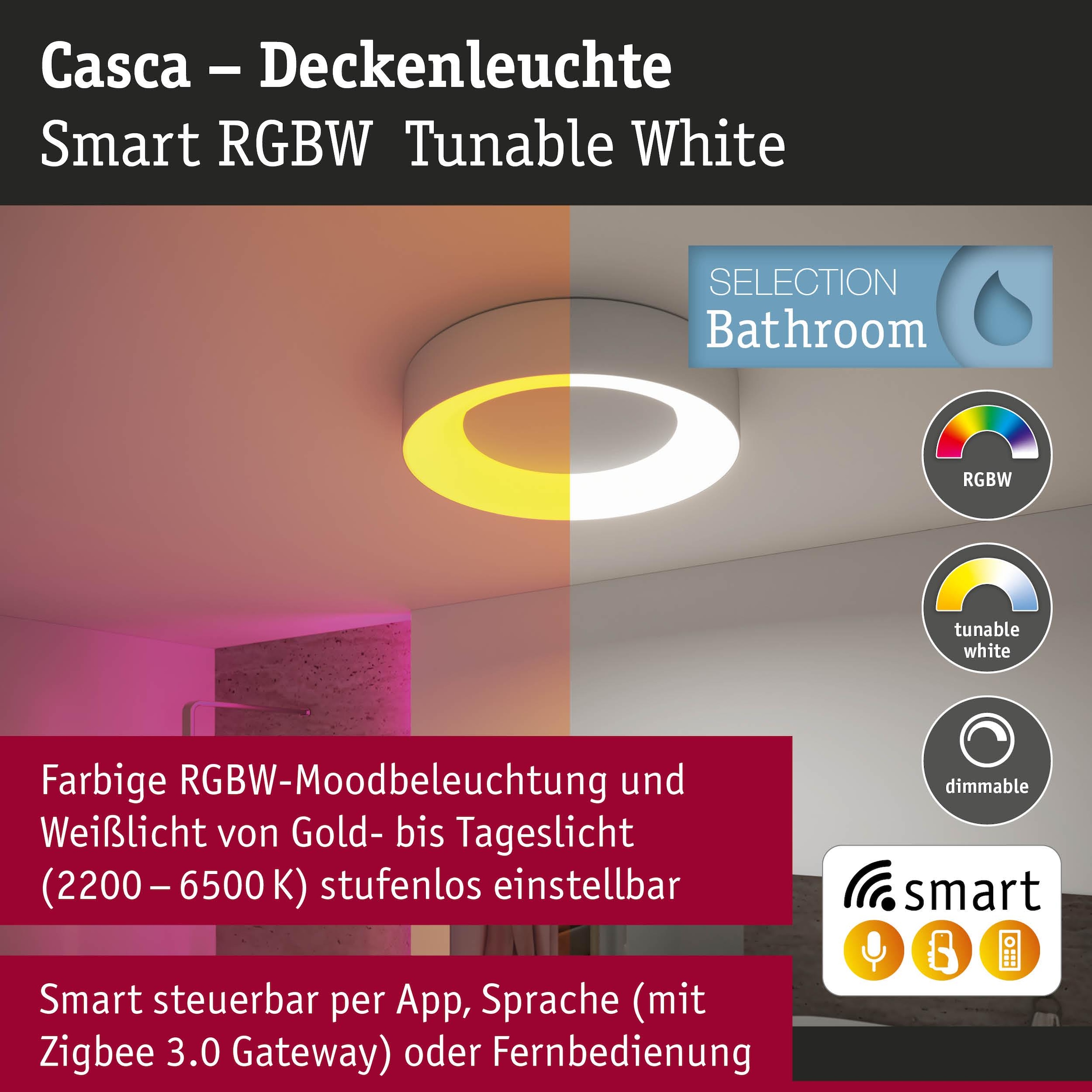 Paulmann Deckenleuchte »Casca« LED-Modul 1 Stk. Tageslichtweiß dimmbar