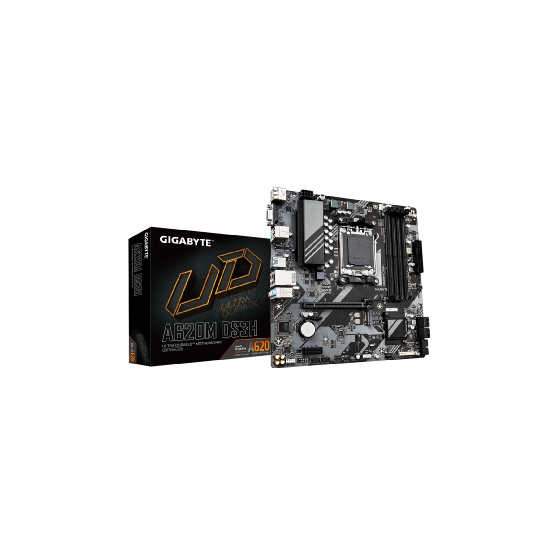 Gigabyte Mainboard »A620M DS3H«