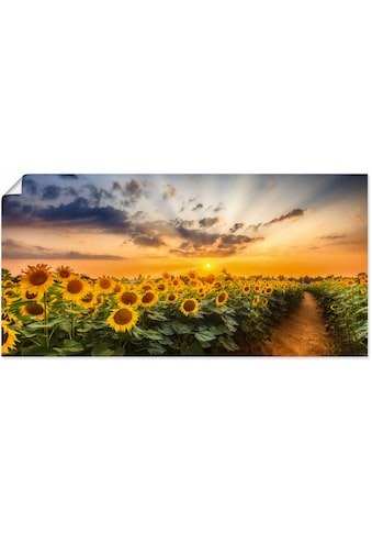 Wandbild »Sonnenblumenfeld bei Sonnenuntergang«, Blumenbilder, (1 St.)