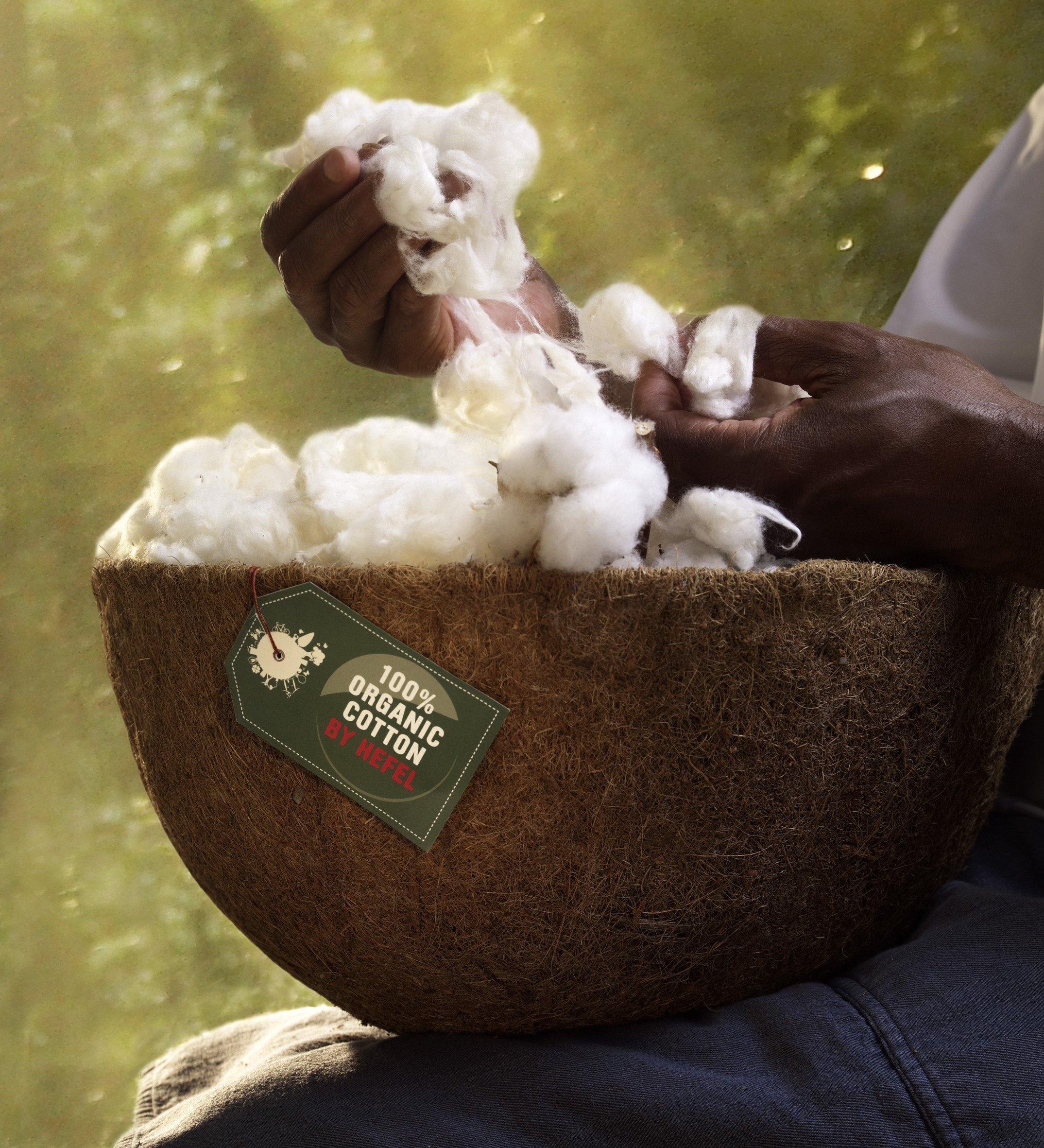 Hefel Naturfaserbettdecke (1 HEFEL-Hanf Bezug 30% 100% St.) Füllung OTTO Online-Shop Organic-Cotton, und »BIO HANF«, normal, im 70% HEFEL-Organic-Cotton,