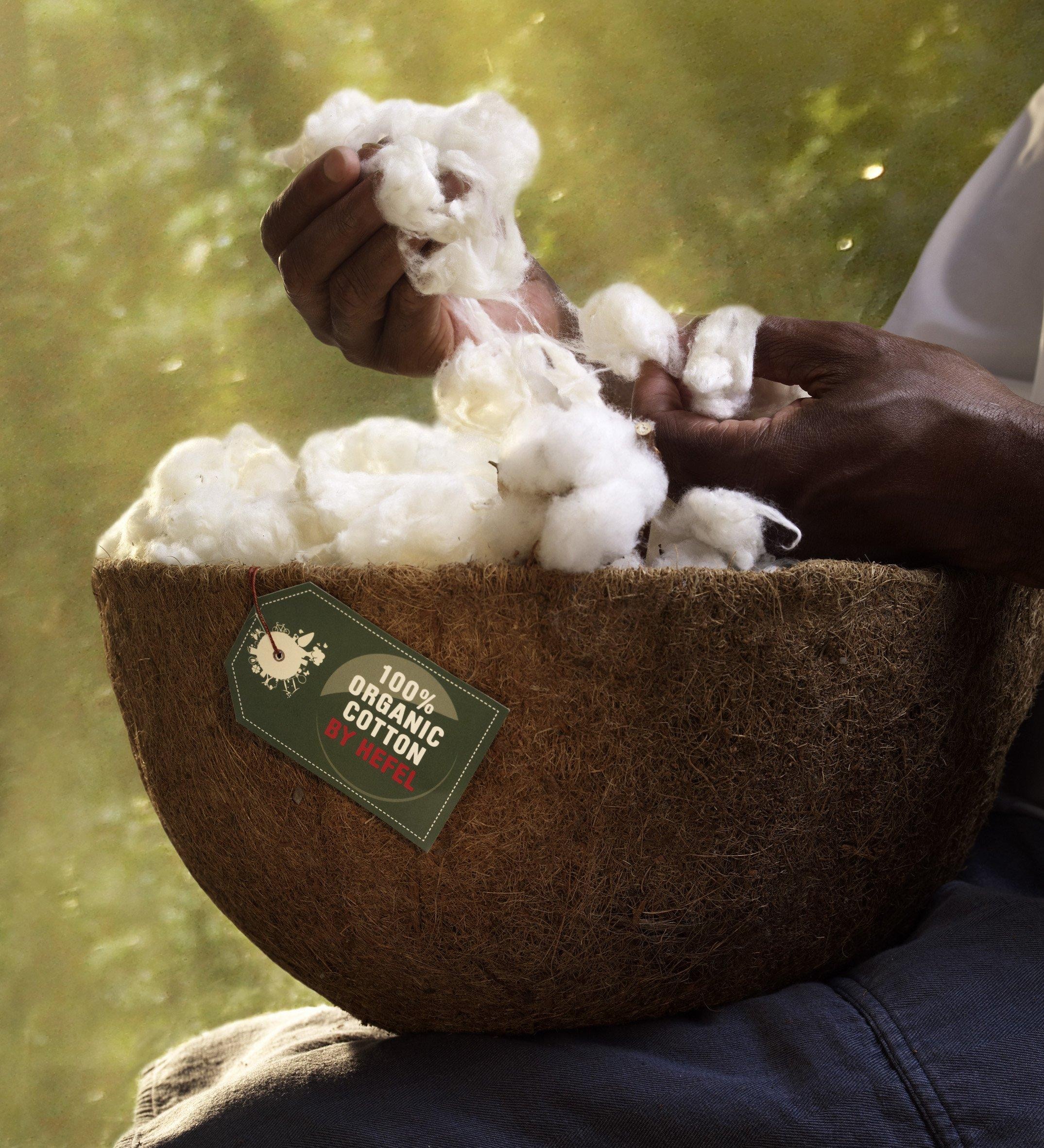 Hefel Naturkissen »BIO HANF«, Füllung: 100% HEFEL-Schurwollnoppen, Bezug: 100% Organic-Cotton, (1 St.)