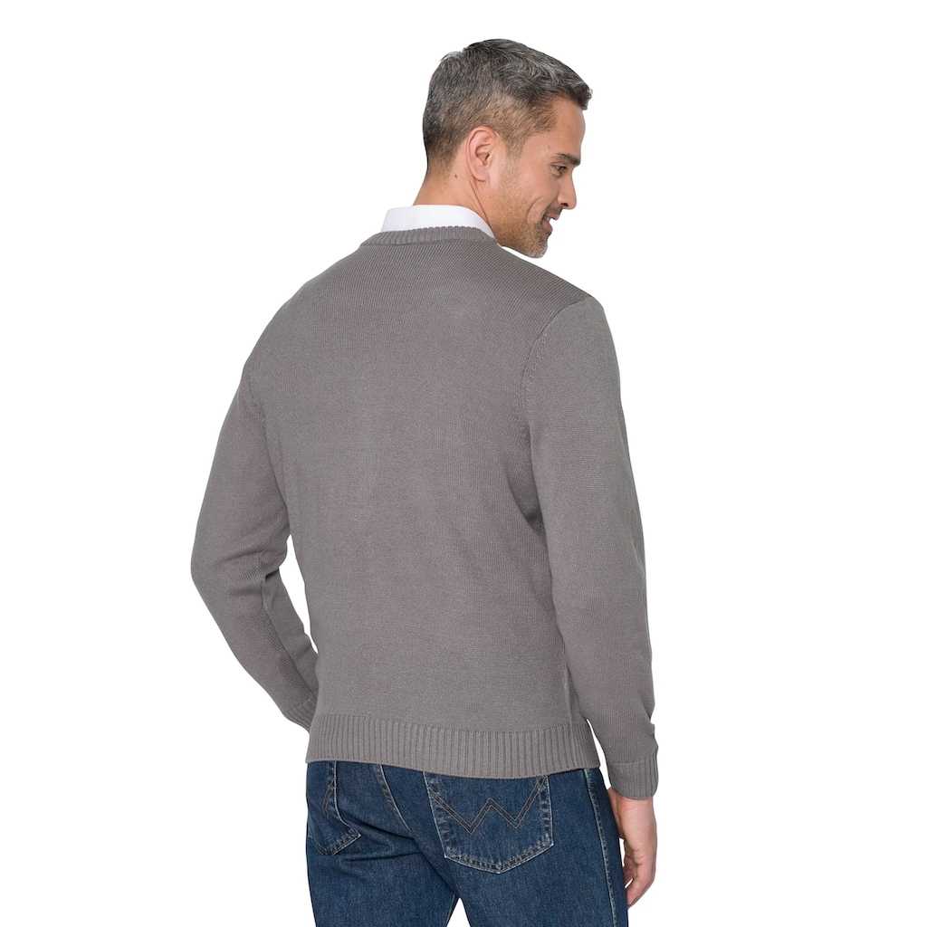 Classic V-Ausschnitt-Pullover »Pullover«