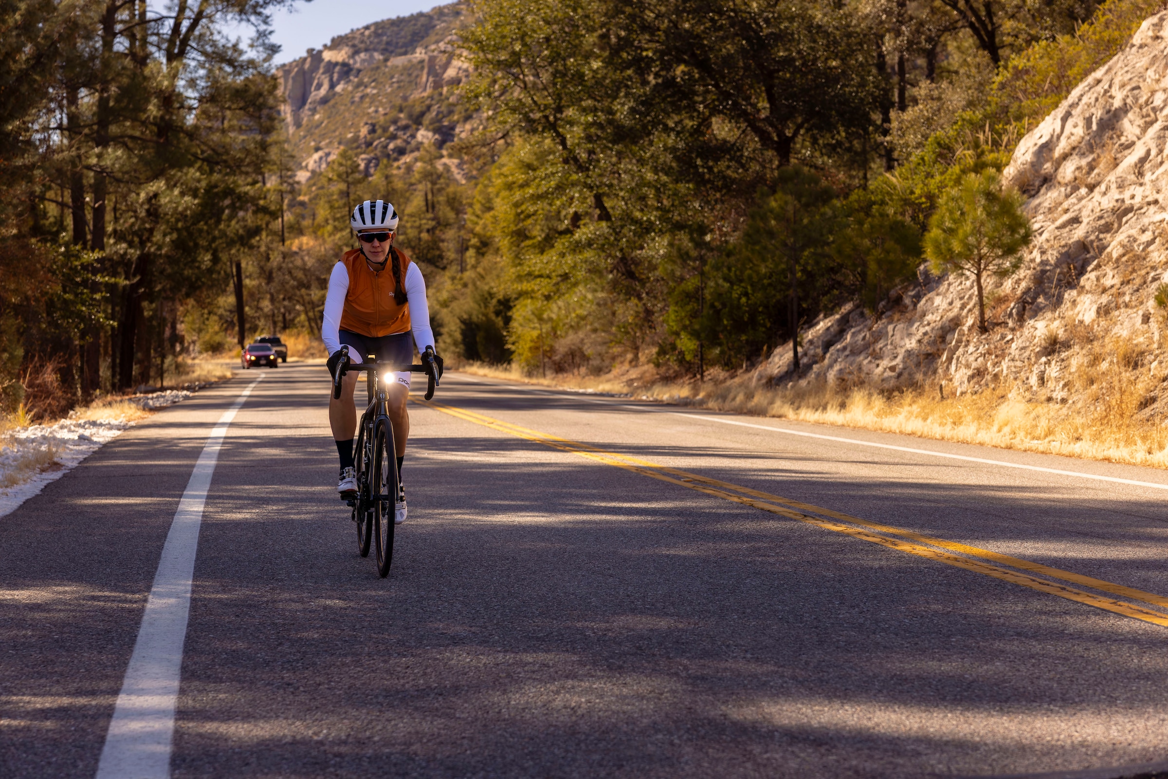 Garmin Dashcam »VARIA VUE StVZO« 4K Ultra HD Bluetooth