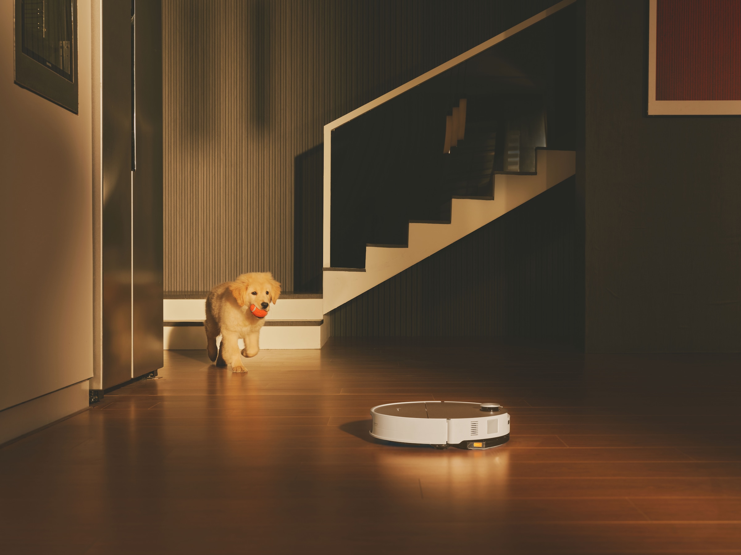 Roborock Saugroboter »Saros 20 Sonic Complete, White«