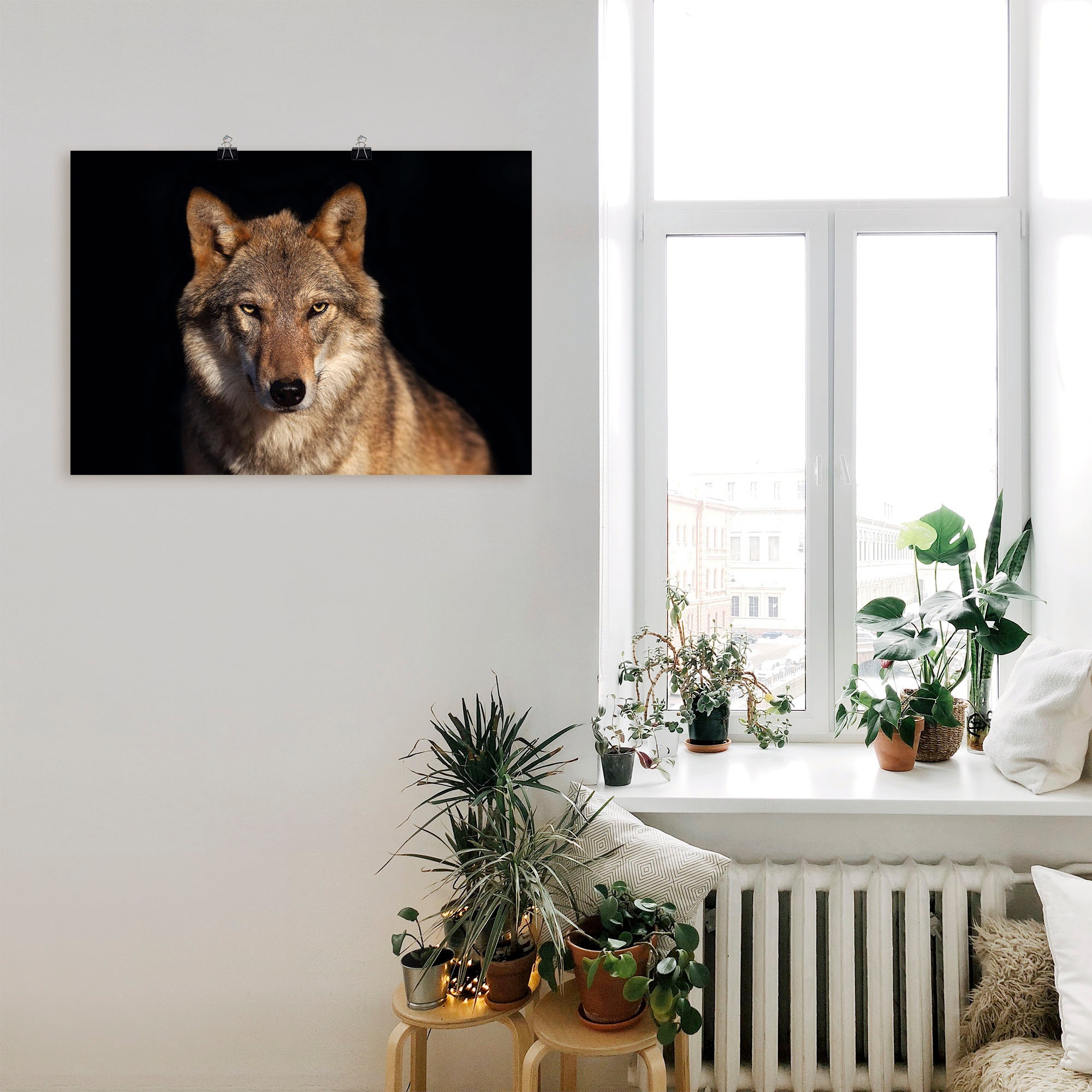 Artland Poster »Wolf«, Wildtiere, (1 St.), als Alubild, Leinwandbild, Wandaufkleber oder Poster in versch. Größen