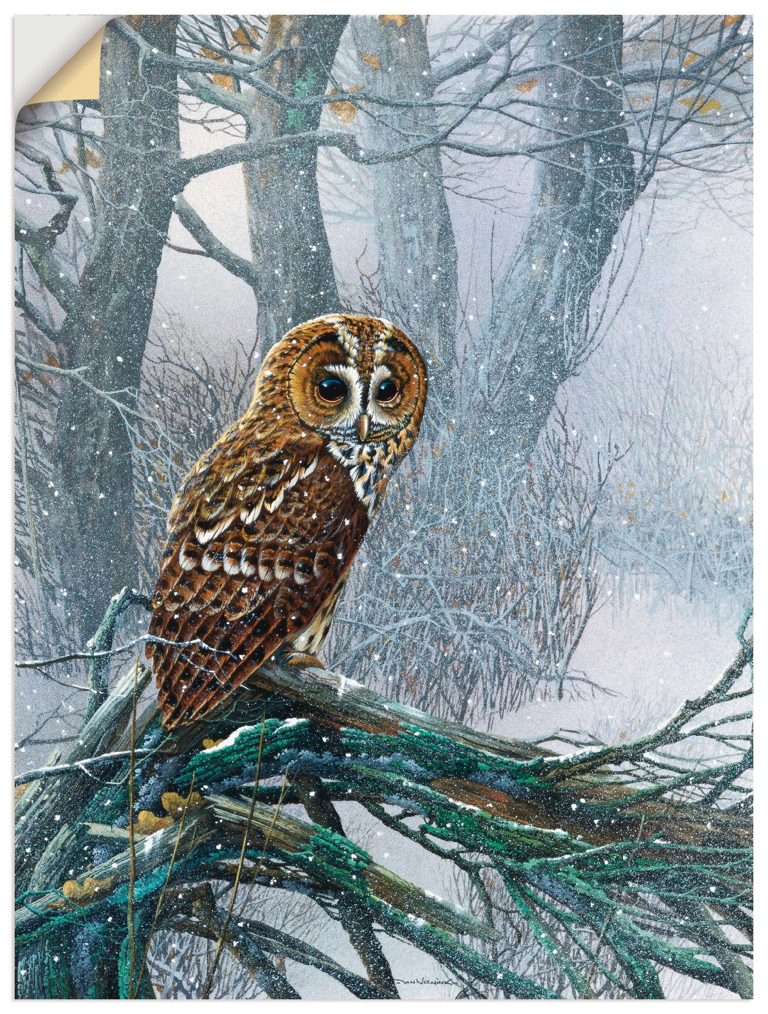 Artland Wandbild »Eule in verschneitem Wald«, Vögel, (1 St.), in vielen Größen & Produktarten -Leinwandbild, Poster, Wandaufkleber / Wandtattoo auch für Badezimmer geeignet