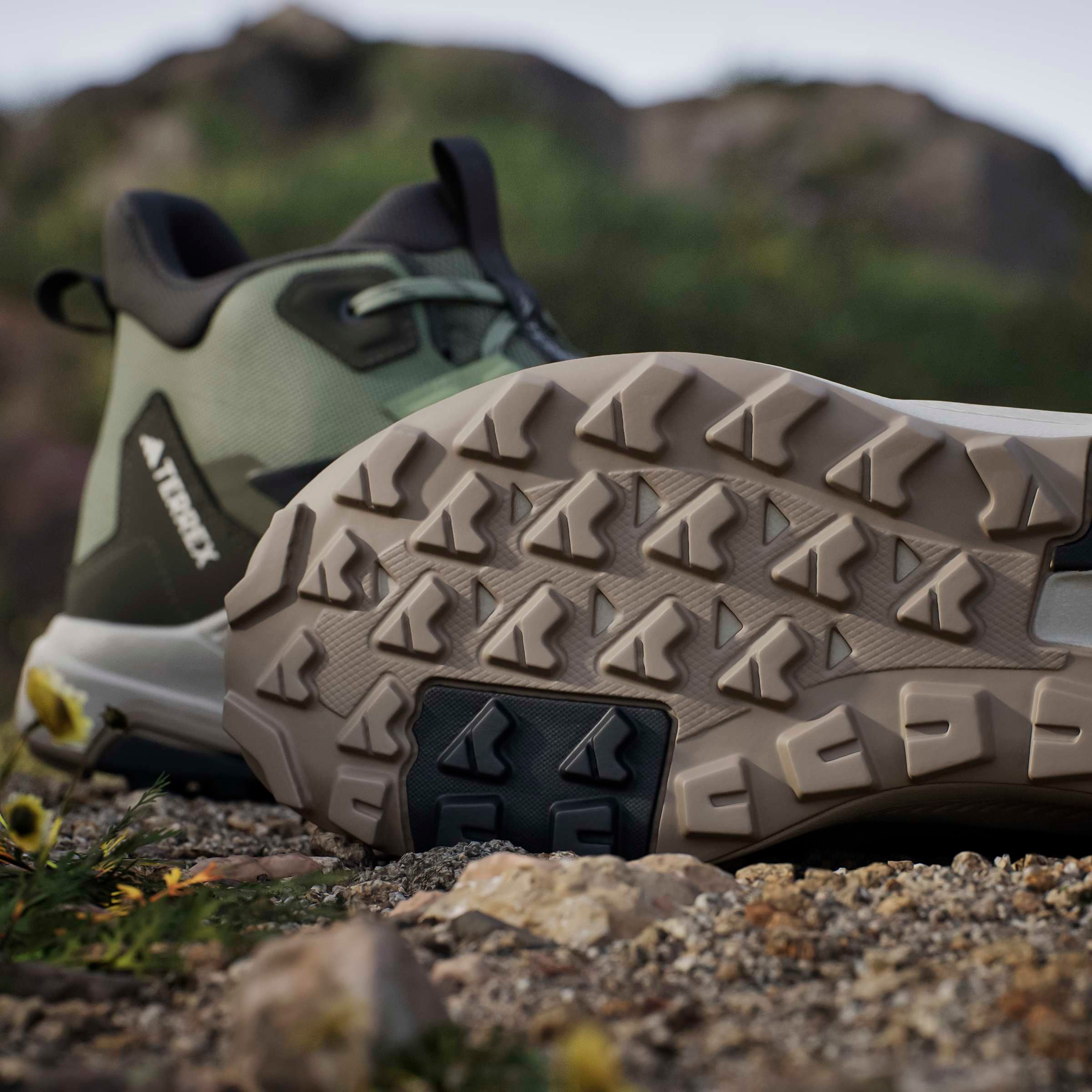 adidas TERREX Wanderschuh »ANYLANDER MID«