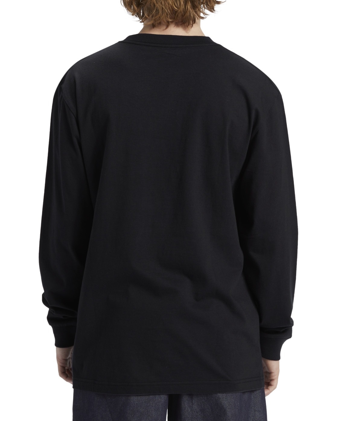 DC Shoes Langarmshirt »DC Star Hls«