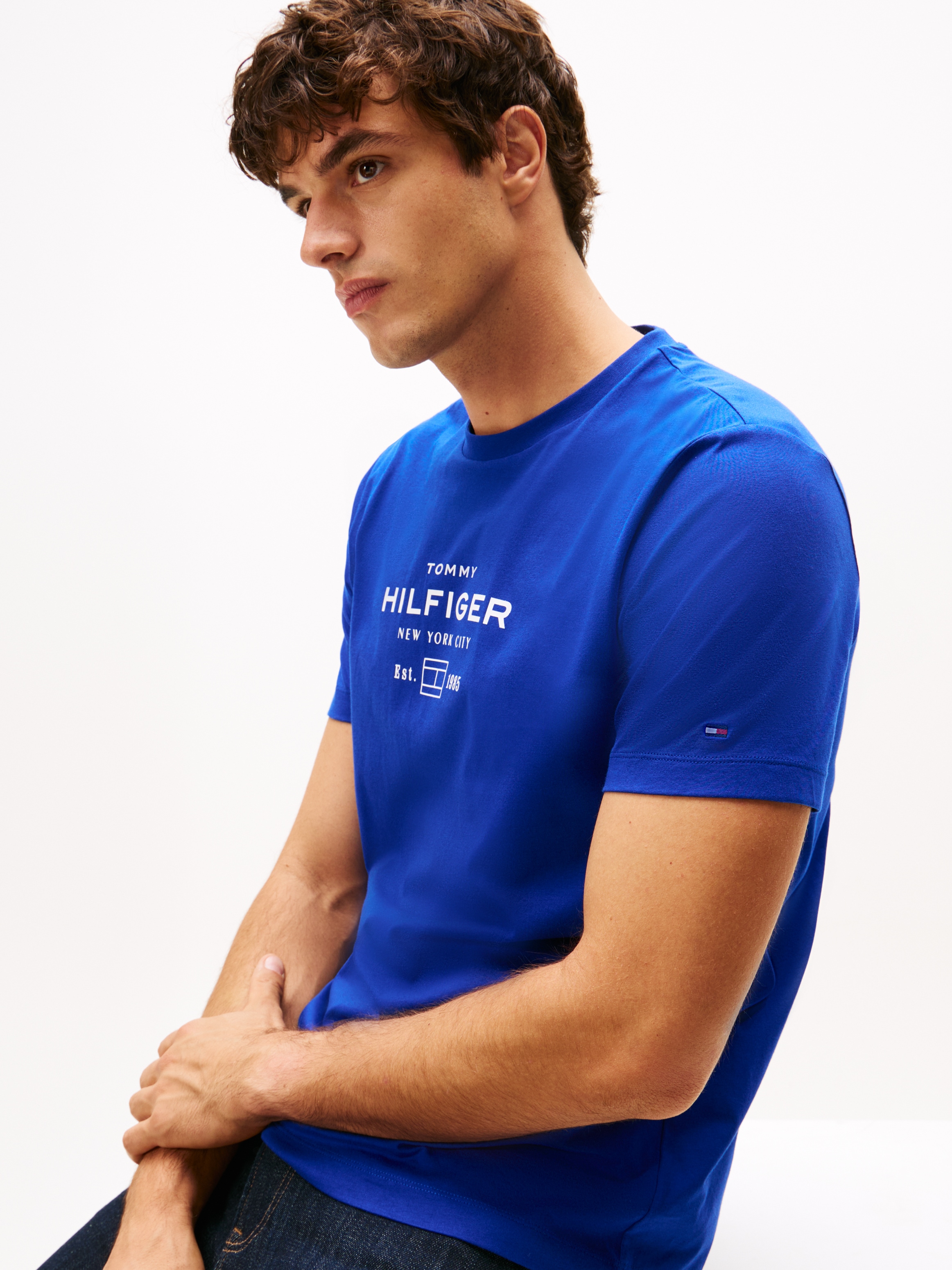 Tommy Hilfiger T-Shirt »HILFIGER STACK GRAPHIC TEE«, Regular fit mit Rundhalsausschnitt