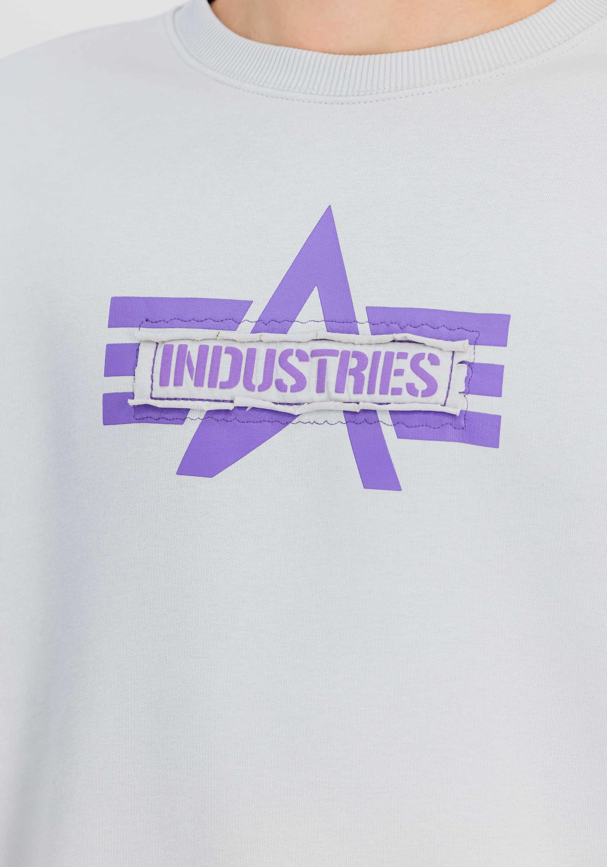 Alpha Industries Sweater »Alpha Industries Men - Sweatshirts Logo Edge Sweatshirt«