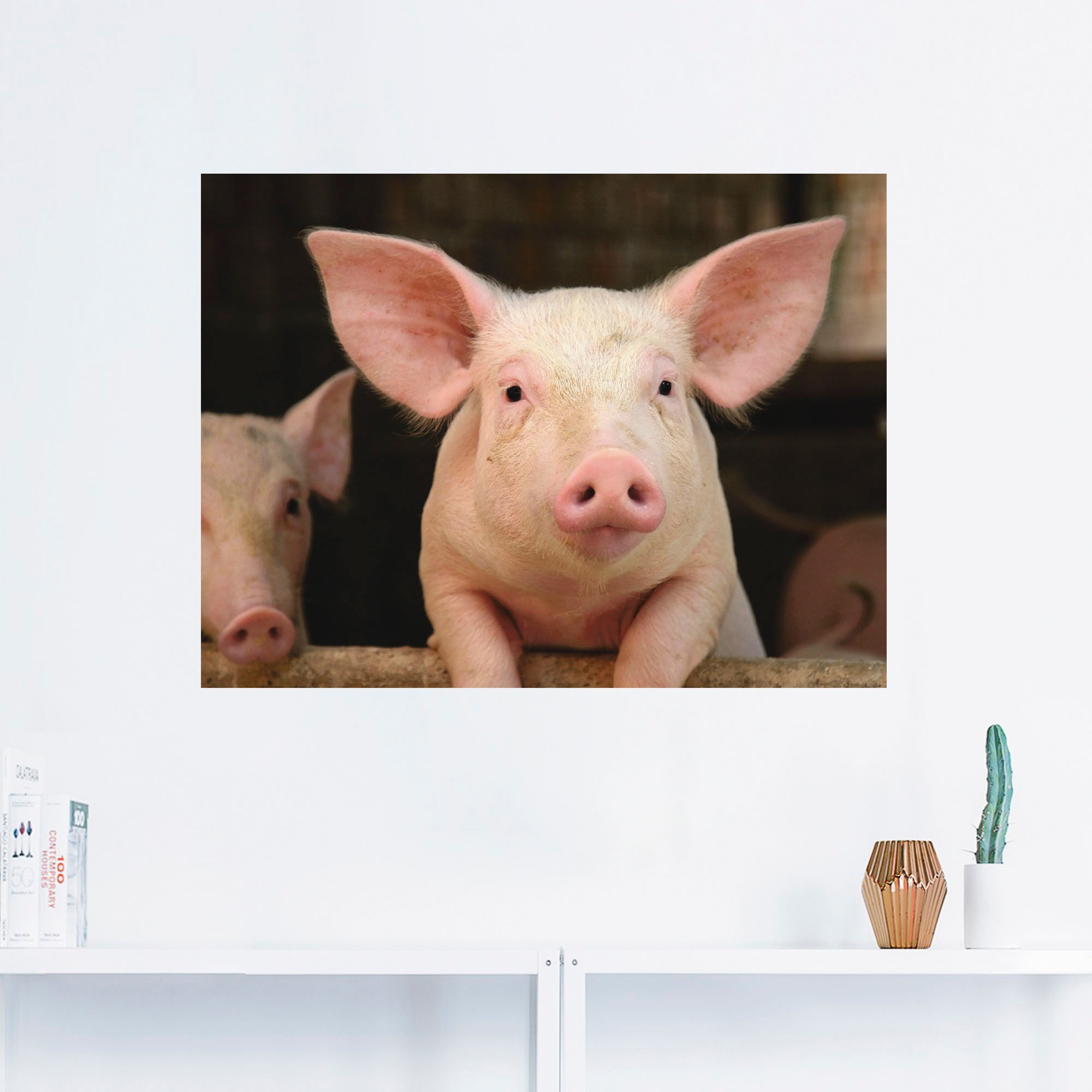 Artland Wandbild »Vorwitziges Schwein«, Haustiere, (1 St.), als Leinwandbild, Wandaufkleber in verschied. Größen