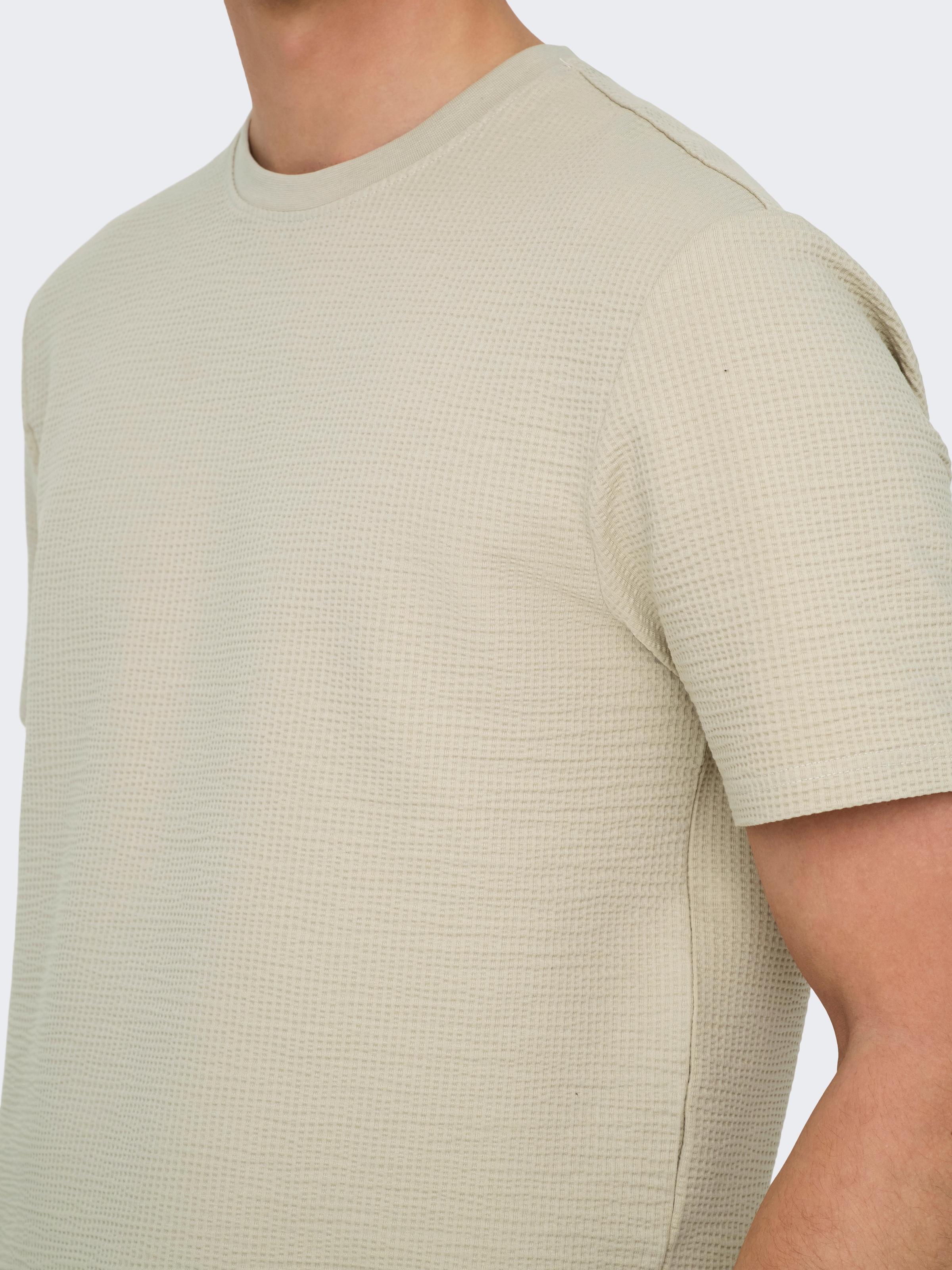 ONLY & SONS Rundhalsshirt »ONSKIAN LIFE REG SEERSUCKER SS TEE NOOS«
