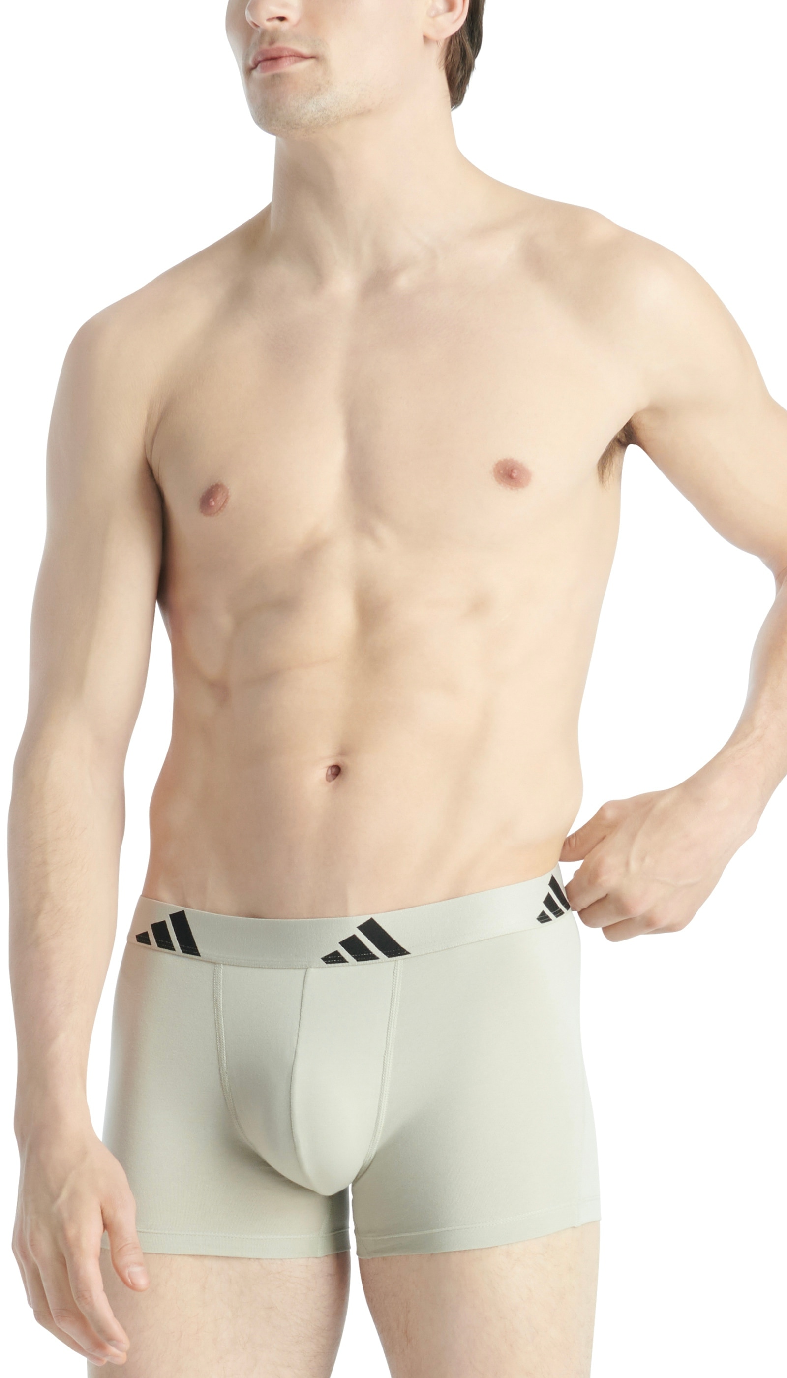 adidas Sportswear Trunk »Active Flex Cotton«, (3er Pack), elastischer Logo-Bund, ohne Eingriff, Single Jersey-Qualität