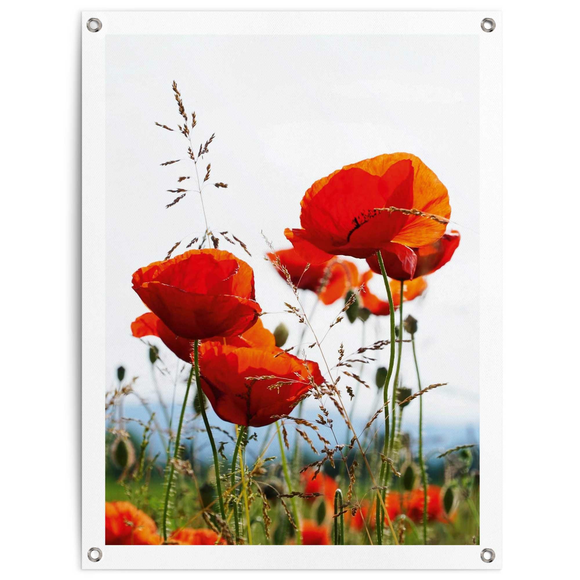 Poster »Mohnblumen«, Outdoor für Garten oder Balkon