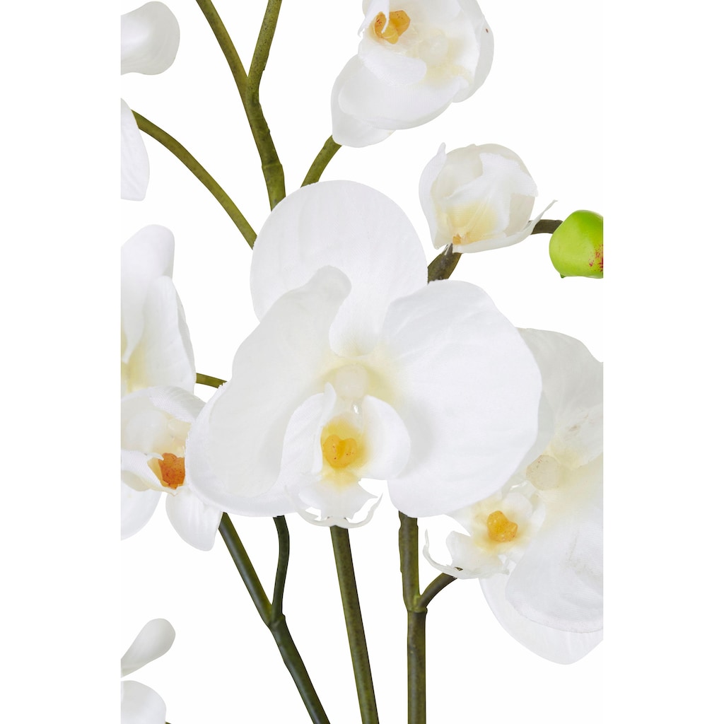 I.GE.A. Kunstpflanze »Orchidee«