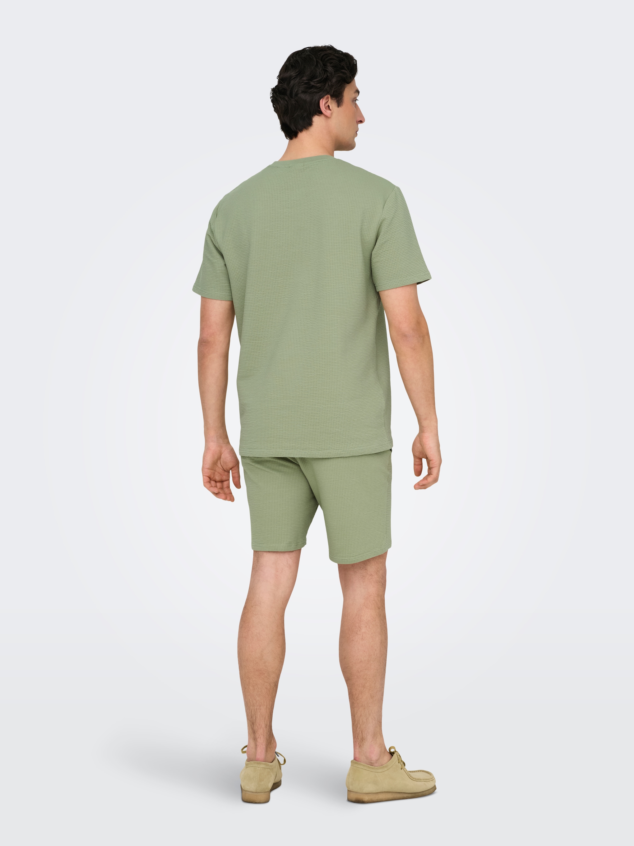 ONLY & SONS Rundhalsshirt »ONSKIAN LIFE REG SEERSUCKER SS TEE NOOS«