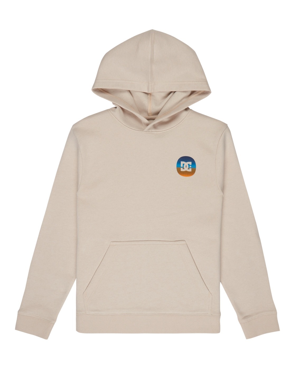 DC Shoes Hoodie »Shape Or Destroy«
