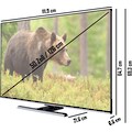 JVC LED-Fernseher »LT-50VU8155«, 126 cm/50 Zoll, 4K Ultra HD