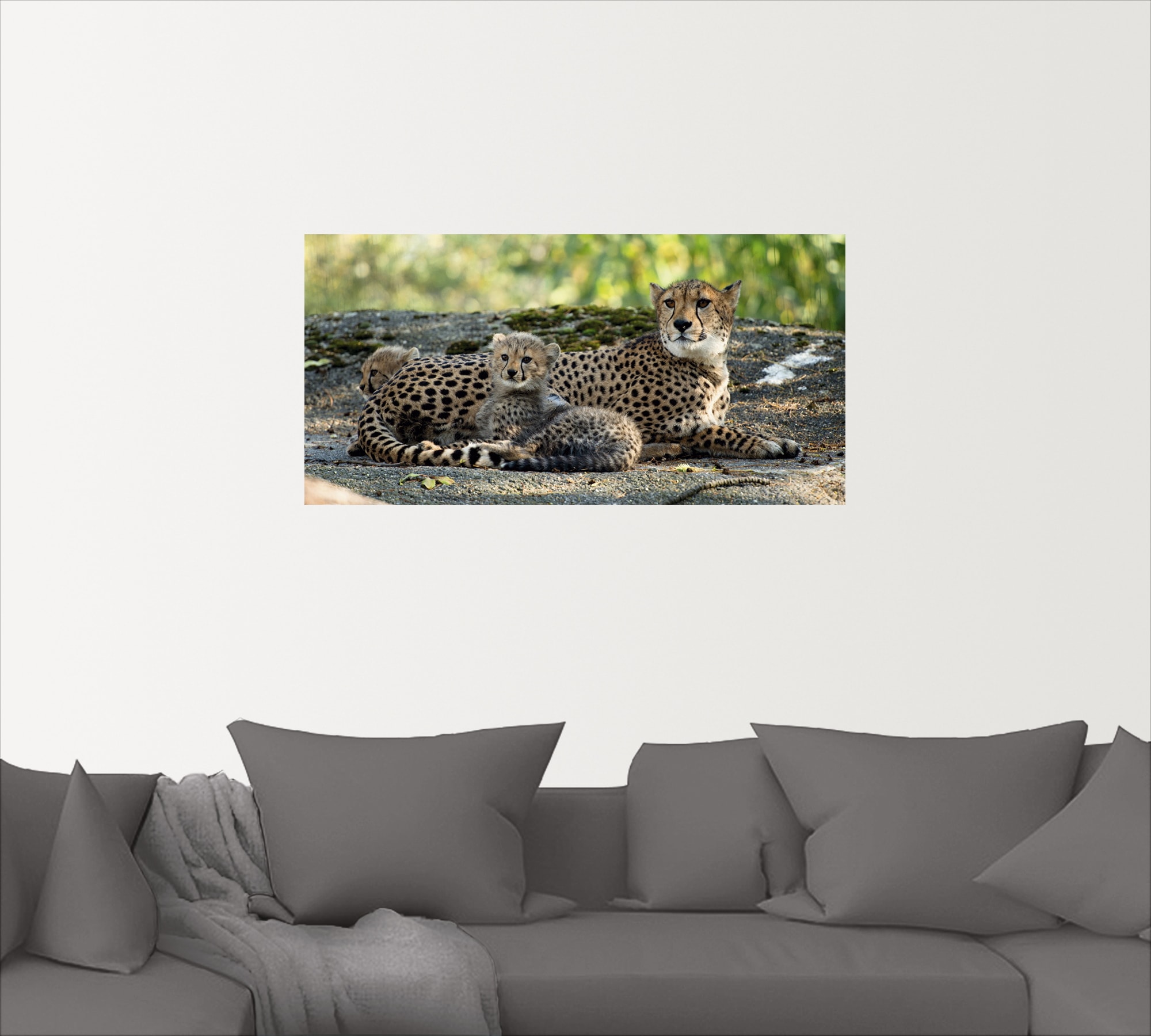Artland Wandbild »Gepard 2«, Wildtiere, (1 St.), als Leinwandbild, Poster, Wandaufkleber in verschied. Größen