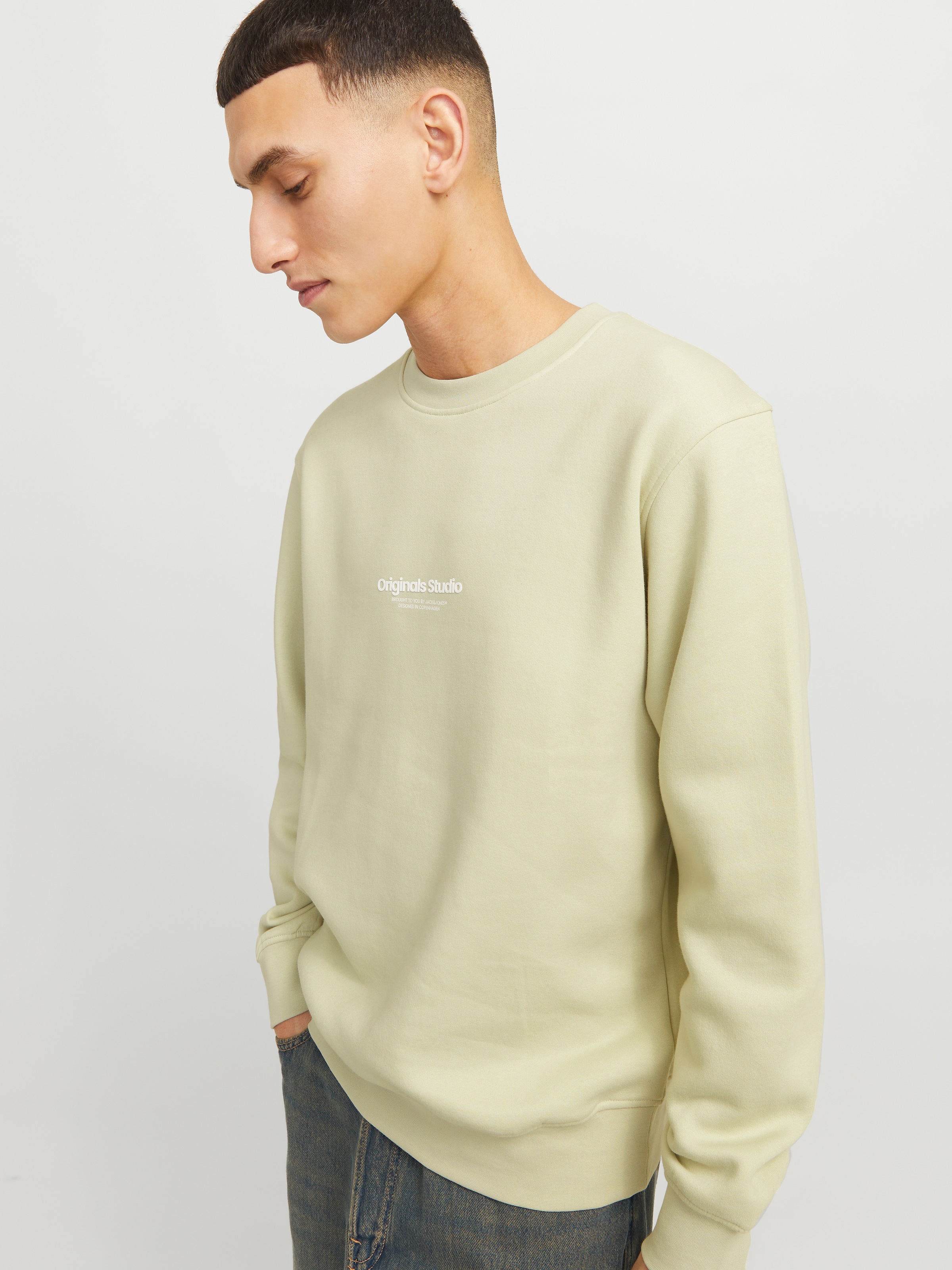 Jack & Jones Sweatshirt »JORVESTERBRO SWEAT CREW NECK NOOS«