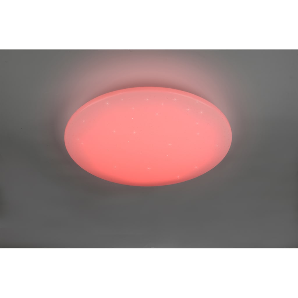 TRIO Leuchten LED Deckenleuchte »Fara«, 1 flammig-flammig
