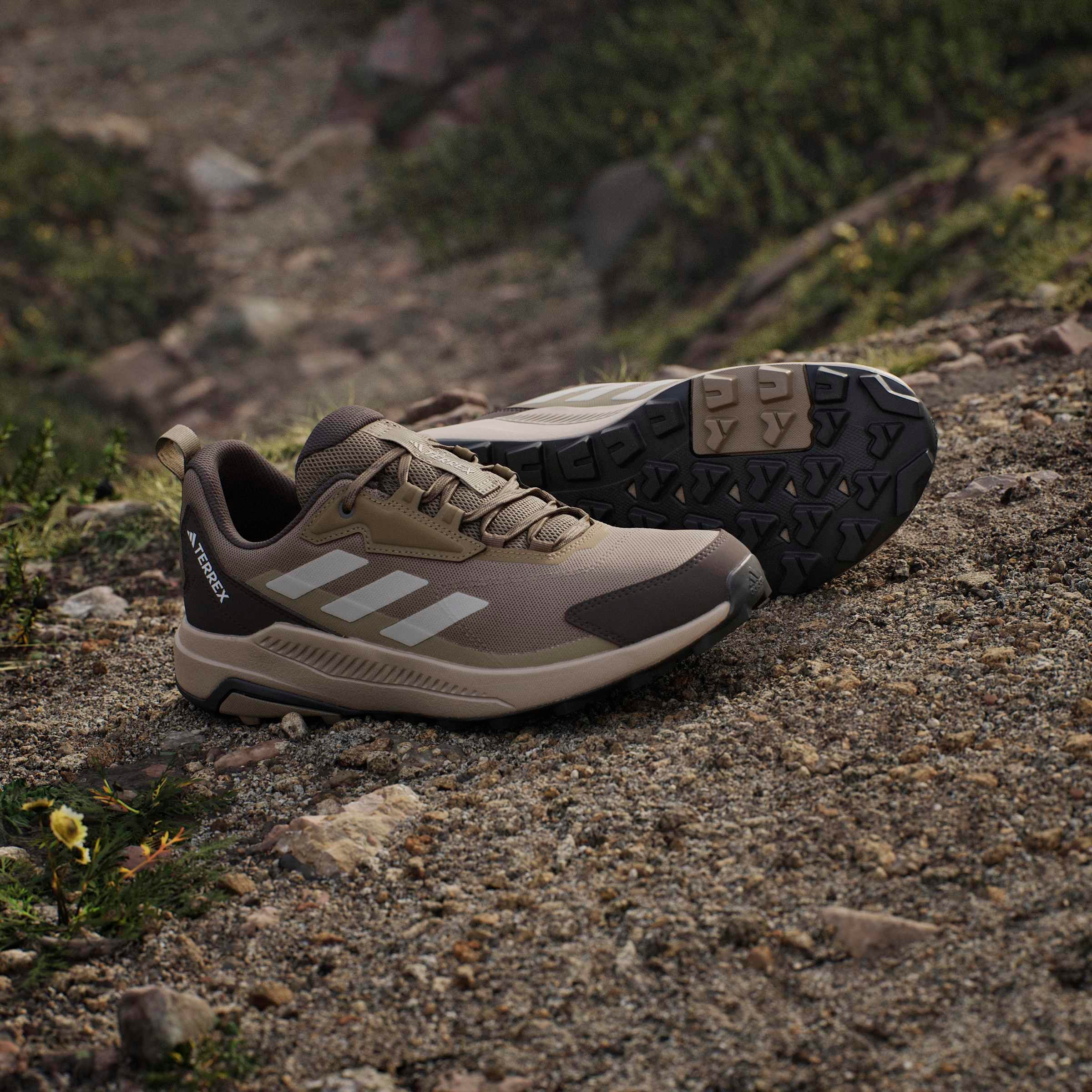 adidas TERREX Wanderschuh »ANYLANDER«