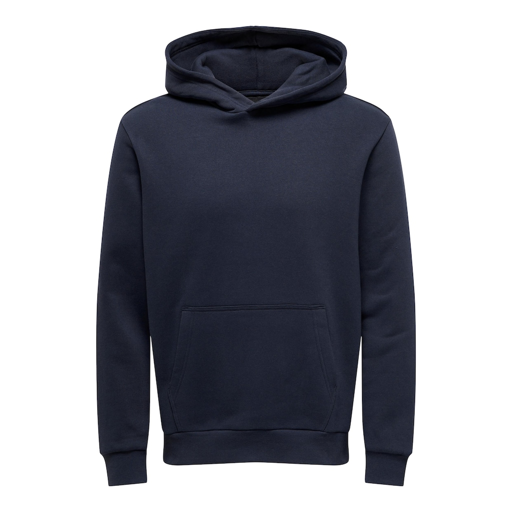 ONLY & SONS Kapuzensweatshirt »ONSDAN LIFE RLX HEAVY SWEAT HOODIE NOOS«