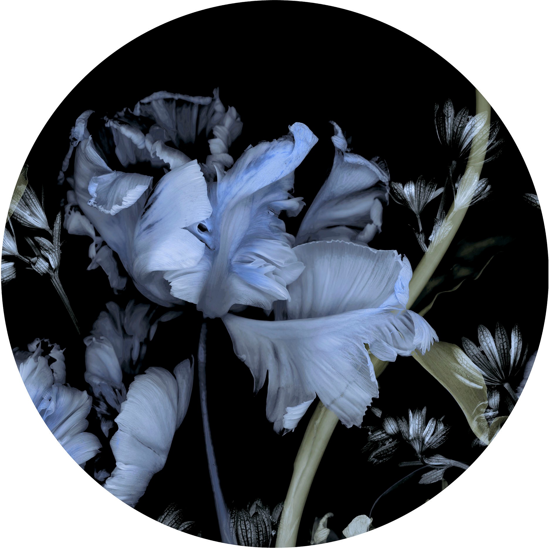 Fashion for walls Fototapete »Tiao Hua« floral glatt Phthalate frei