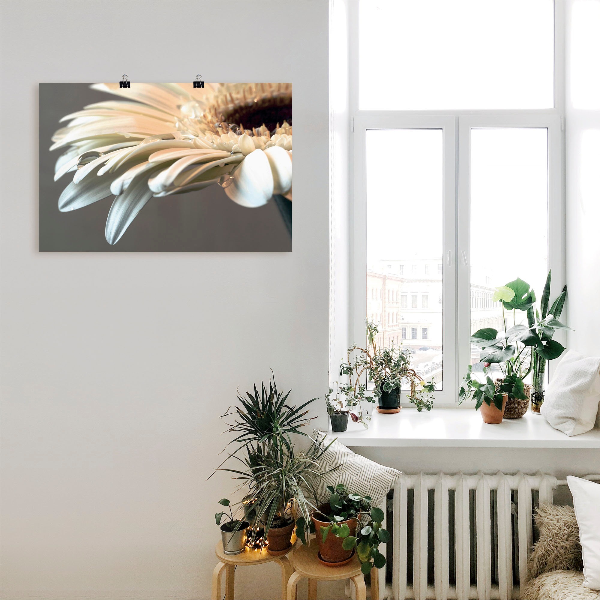 Artland Wandbild »Blüte einer Gerbera«, Blumen, (1 St.), als Leinwandbild, Poster, Wandaufkleber in verschied. Größen