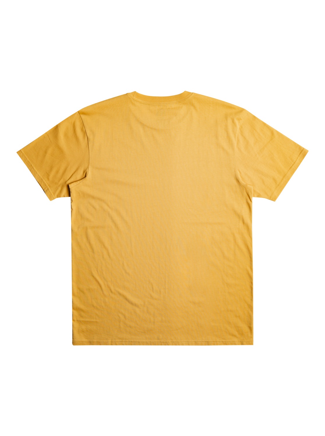 Quiksilver T-Shirt »Scholarship«