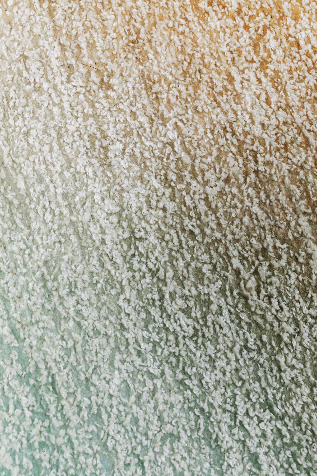 Kare Design Teppich »Rainbow Pastell 170x240cm« rechteckig 1 mm Höhe