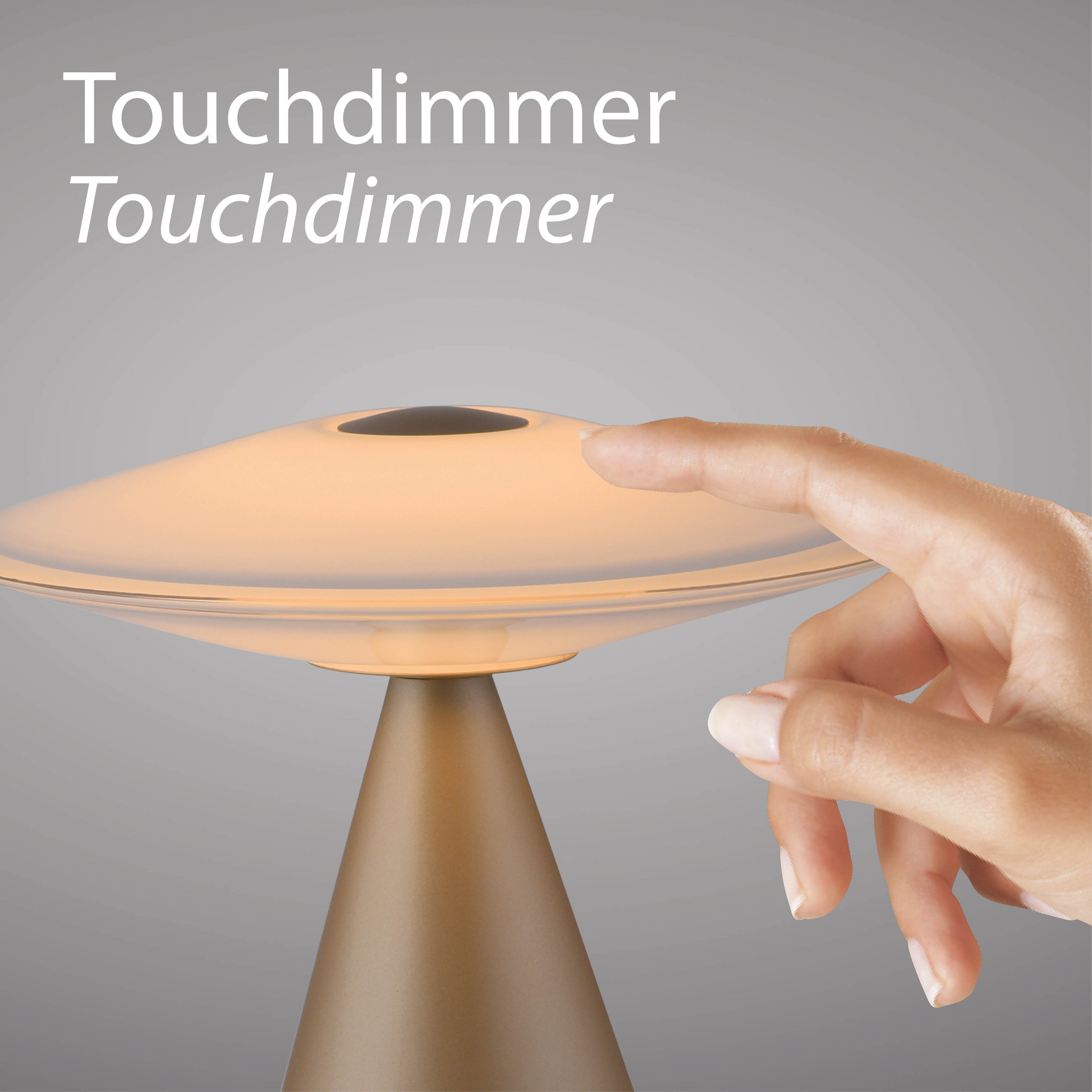 Paul Neuhaus LED Tischleuchte »ELIPSA« LED-Board 1 Stk. Warmweiß Touchdimmer, Memoryfunktion, Opalglas