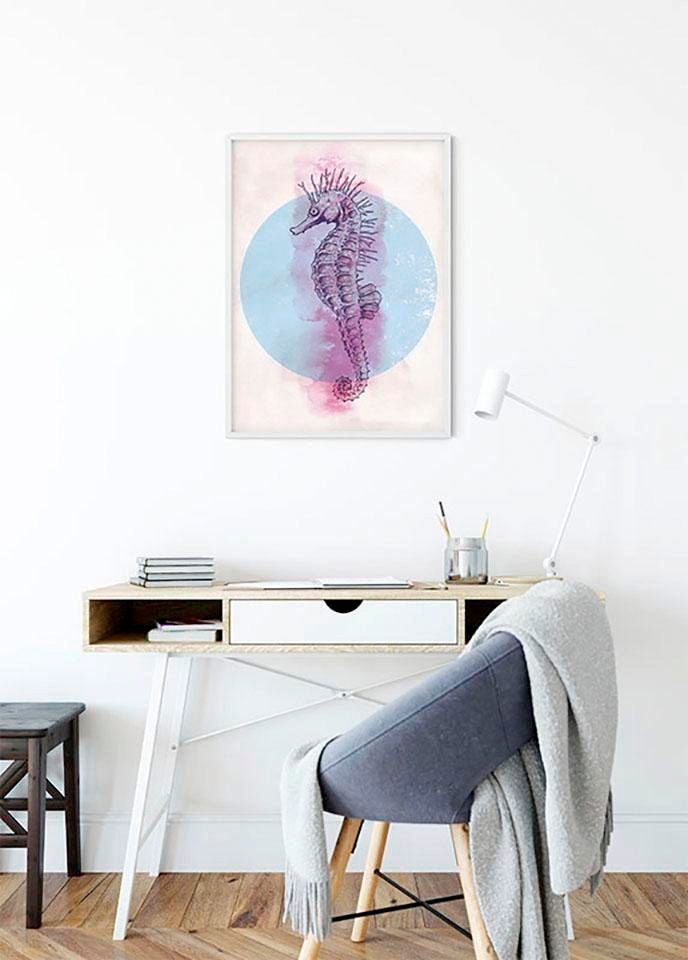Komar Bild »Sea Horse Circle«, Tiere, (1 St.), Wandbild zur Dekoration - ohne Rahmen