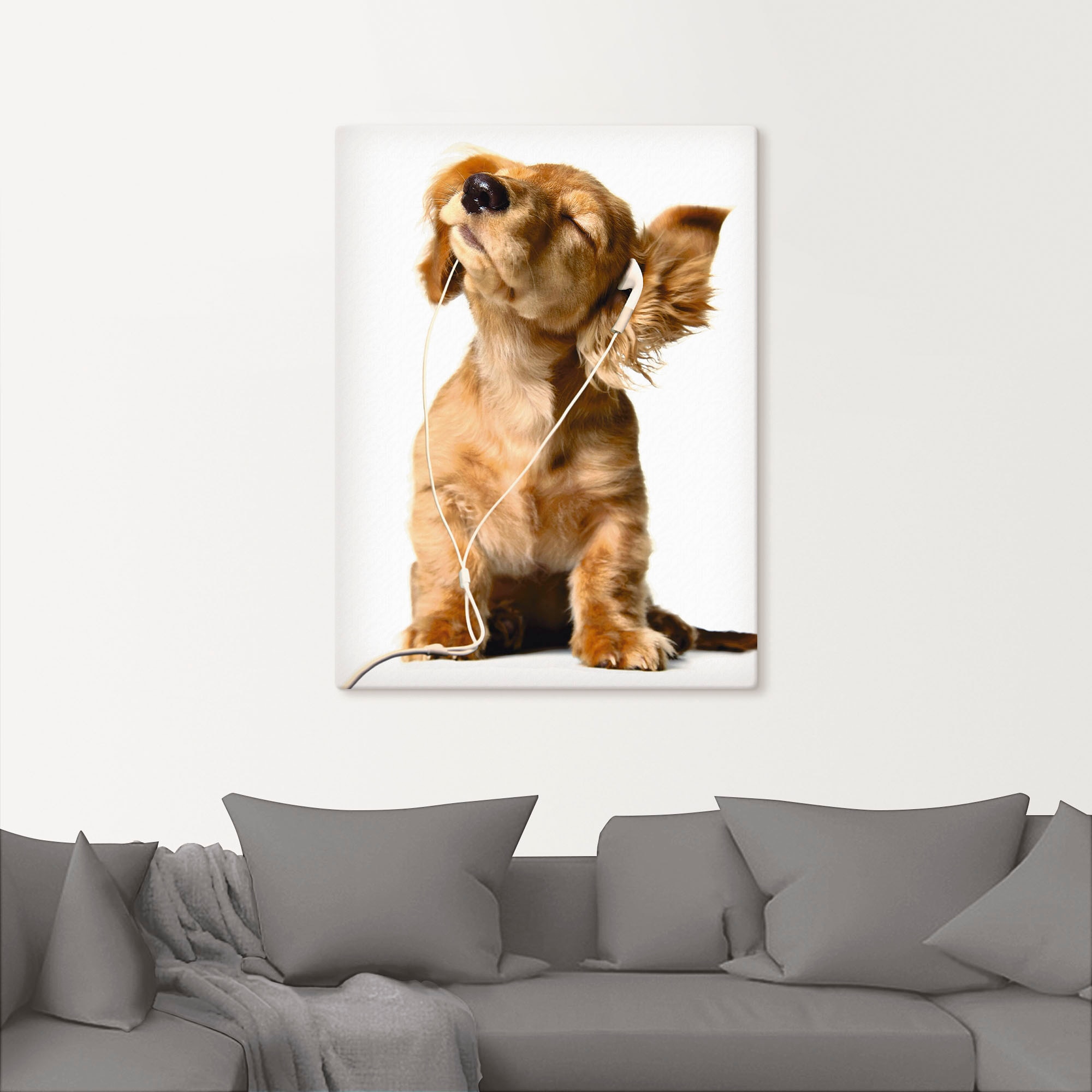 Artland Wandbild »Junger Hund hört Musik über Kopfhörer«, Haustiere, (1 St.), als Leinwandbild, Poster, Wandaufkleber in verschied. Größen