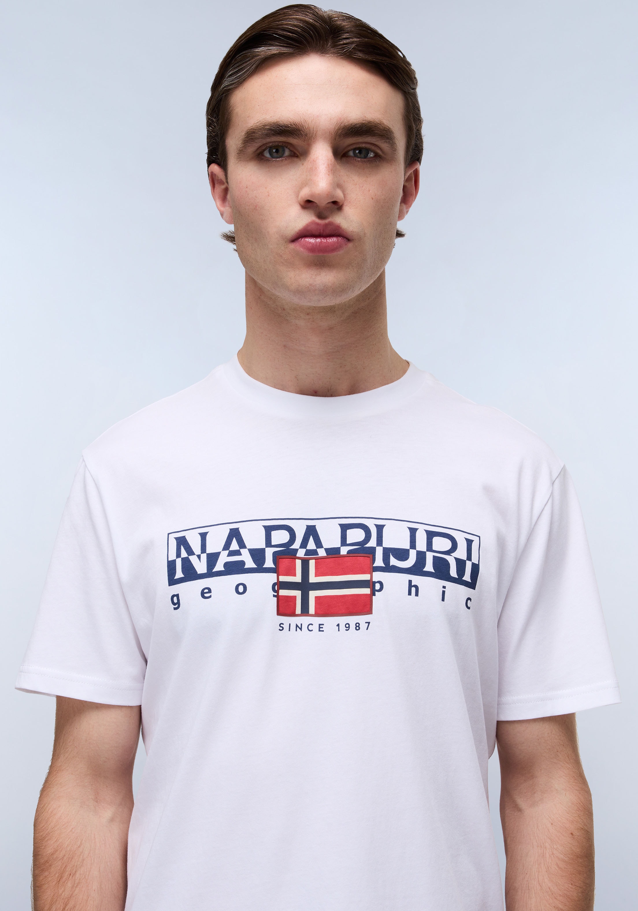 Napapijri T-Shirt »S-AYLMER«