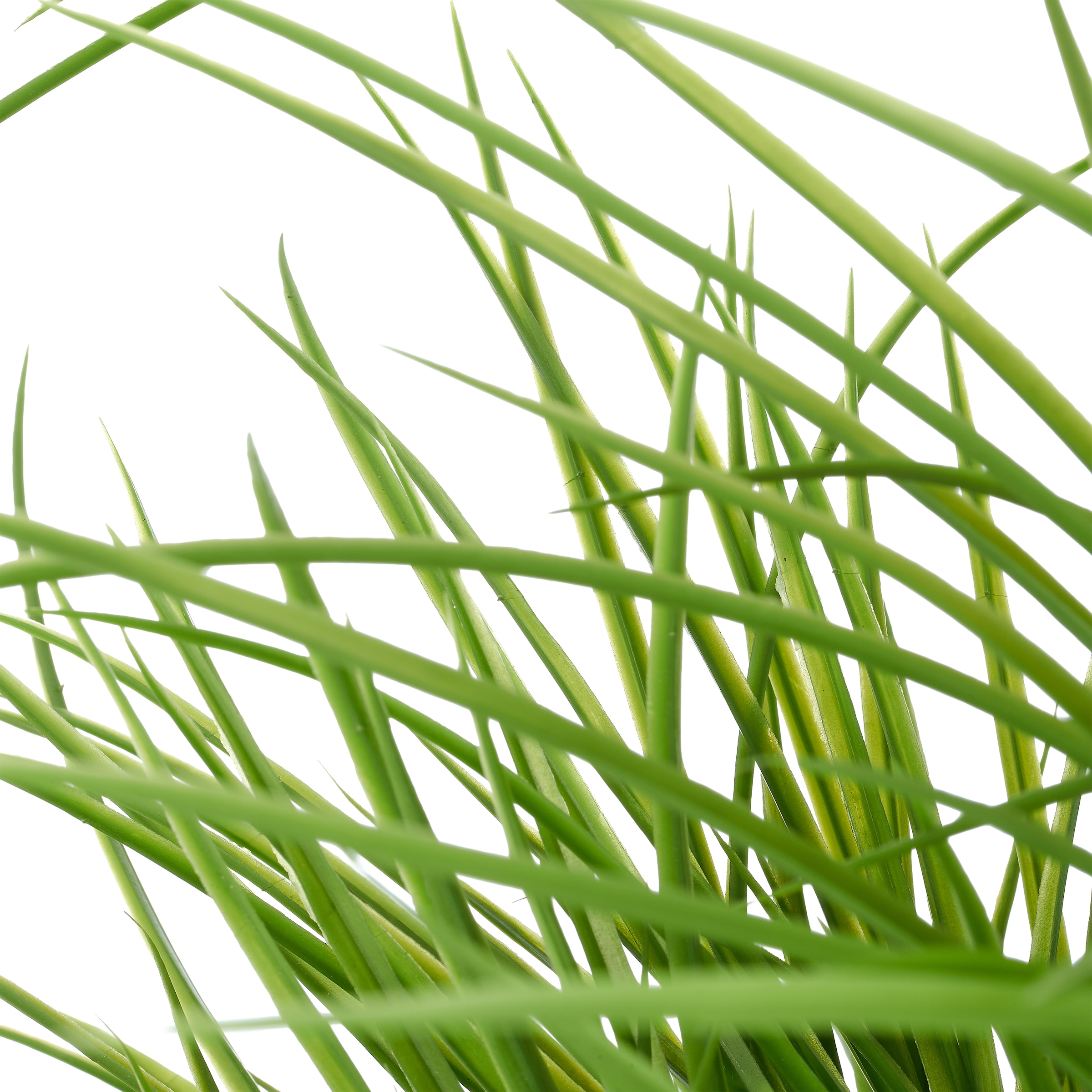 Creativ green Kunstbaum »Dracaena marginata« mit naturgetreuem Blattwerk