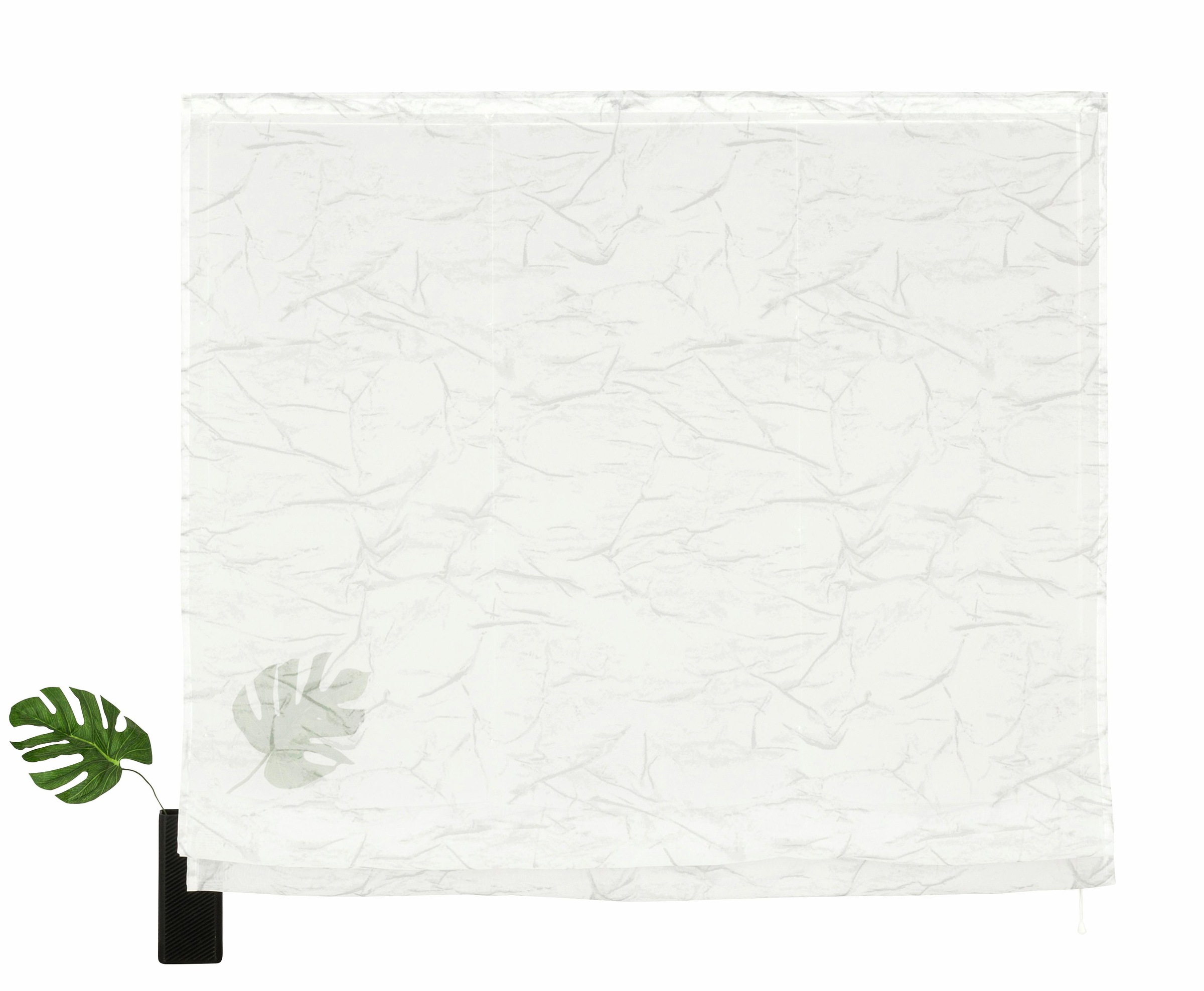 online OTTO home mit Polyester Transparent, bei my Voile, »Bamian«, bestellen Raffrollo Klettschiene,