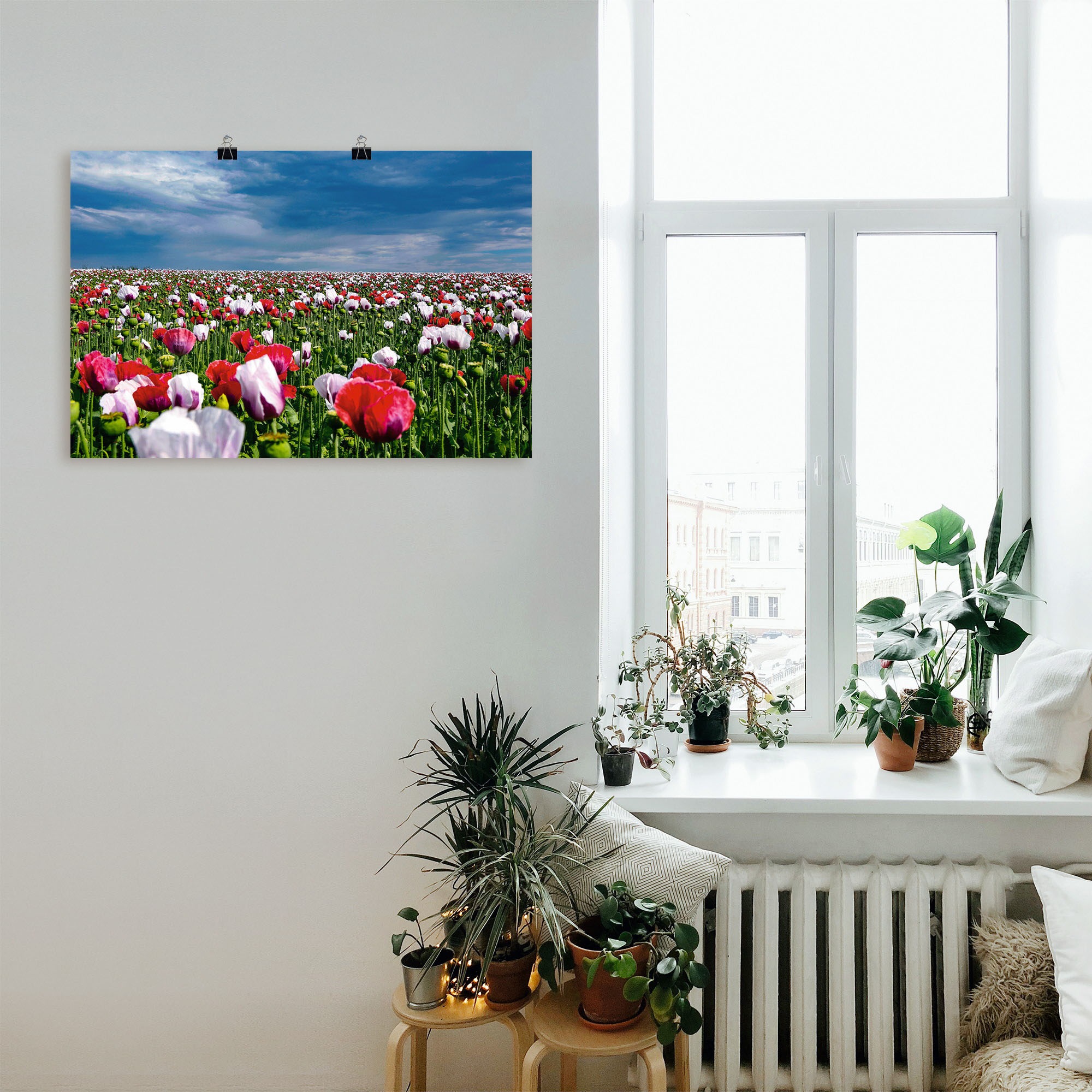 Artland Wandbild »Blühende Mohnblumen«, oder bei Alubild, OTTO Leinwandbild, Blumenwiese, online in (1 als Poster St.), versch. Größen Wandaufkleber