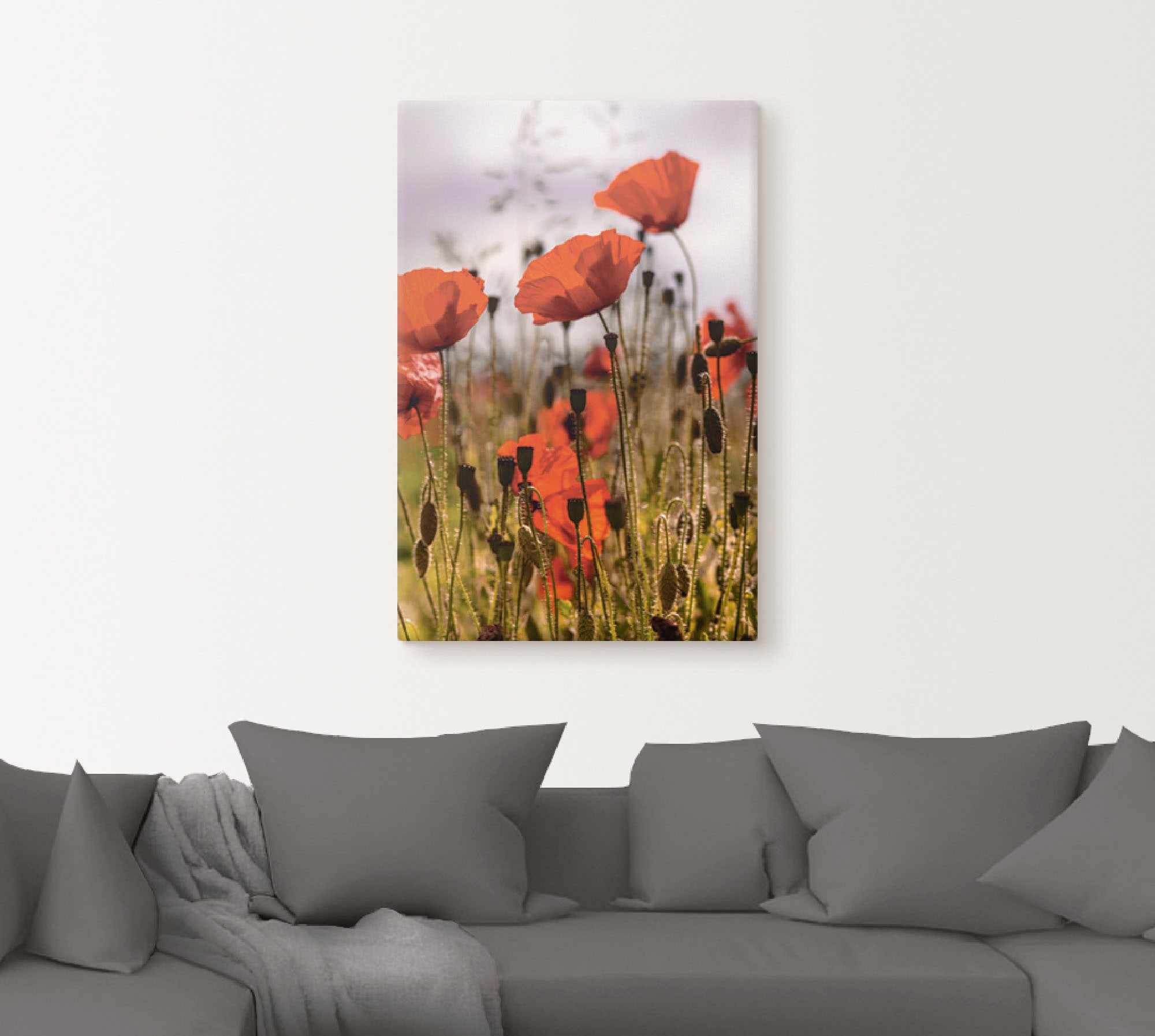 Artland Wandbild »Mohnblumen im Morgenlicht« Blumenwiese 1 Stk. tlg. auf Holzrahmen gespannt