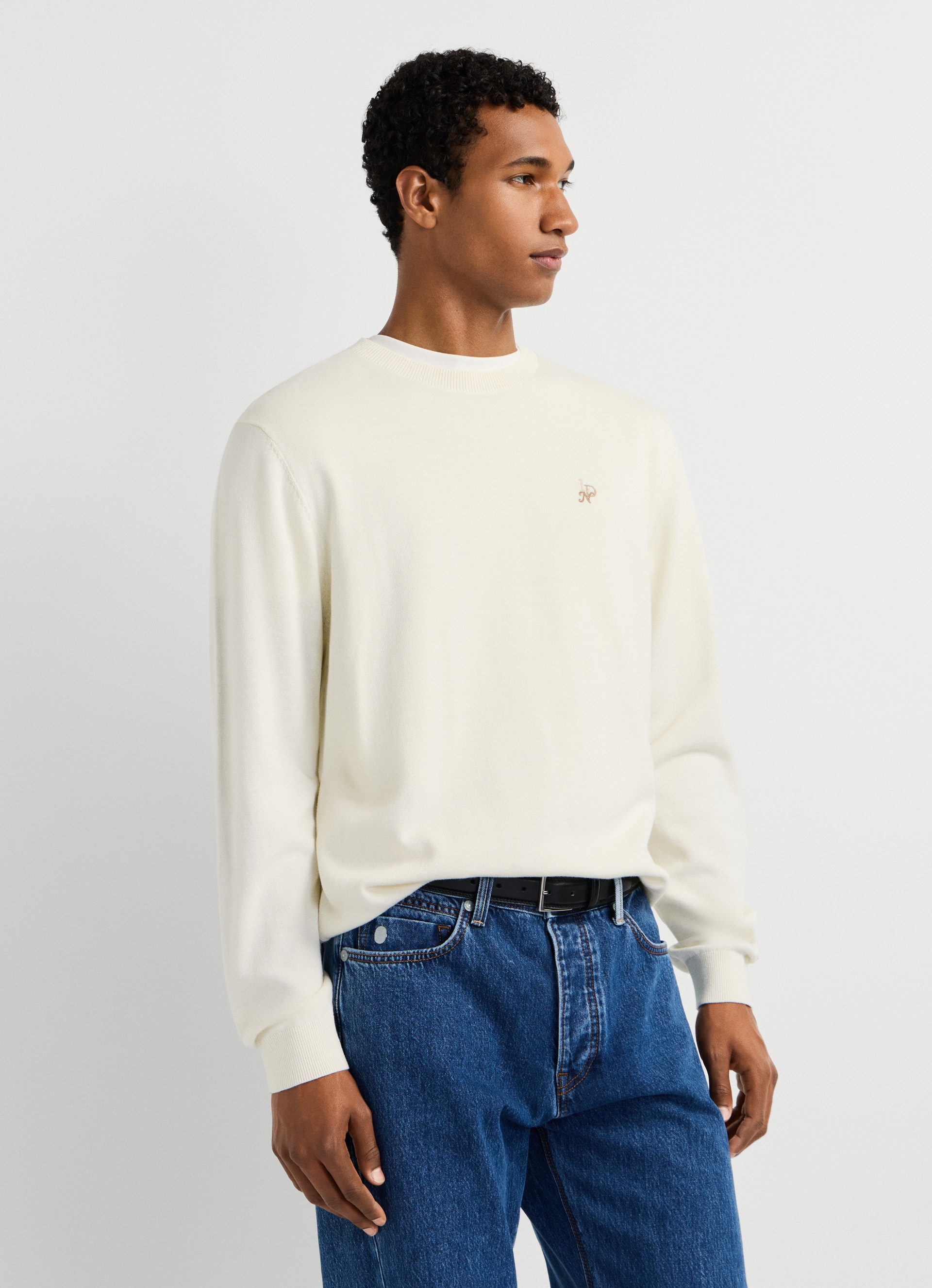Pepe Jeans Rundhalspullover »DANIELS« mit gestickten Details, Baumwolle