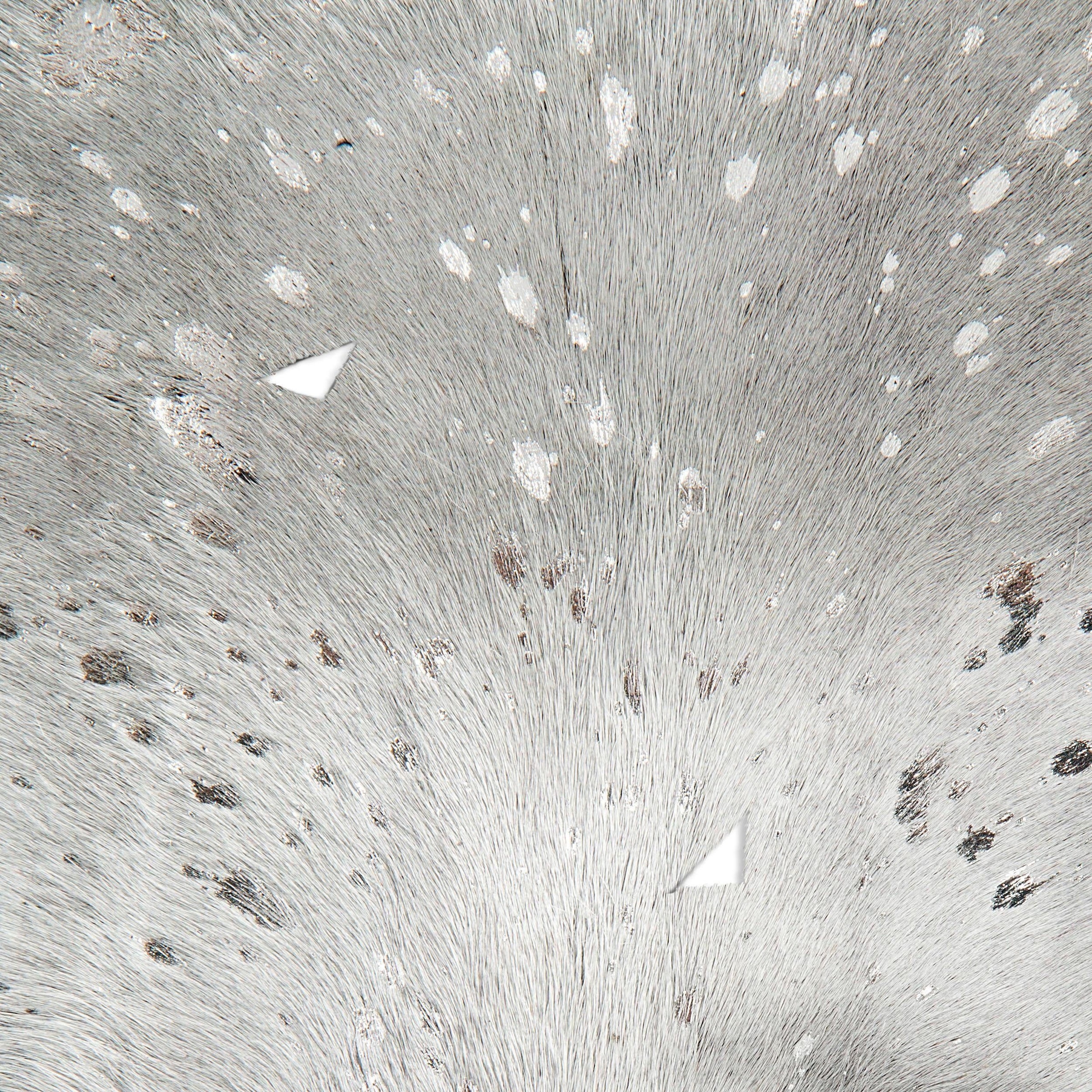 calo-deluxe Fellteppich »Toro 250« fellförmig 12 mm Höhe echtes Rinderfell, Wohnzimmer