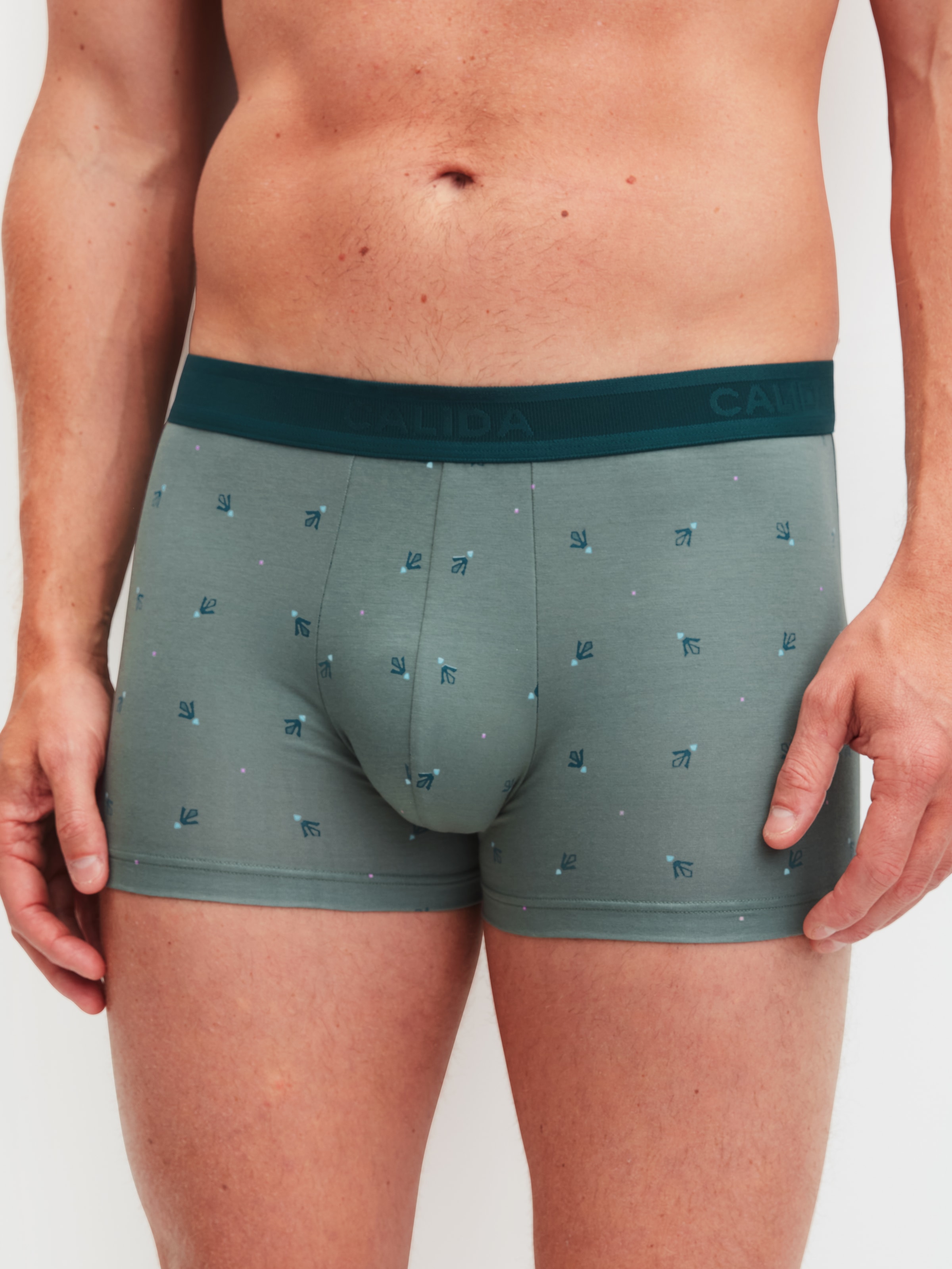 CALIDA Boxer »Grafic Cotton« ohne Eingriff, mit Softgummibund, Single-Jersey, elastisch