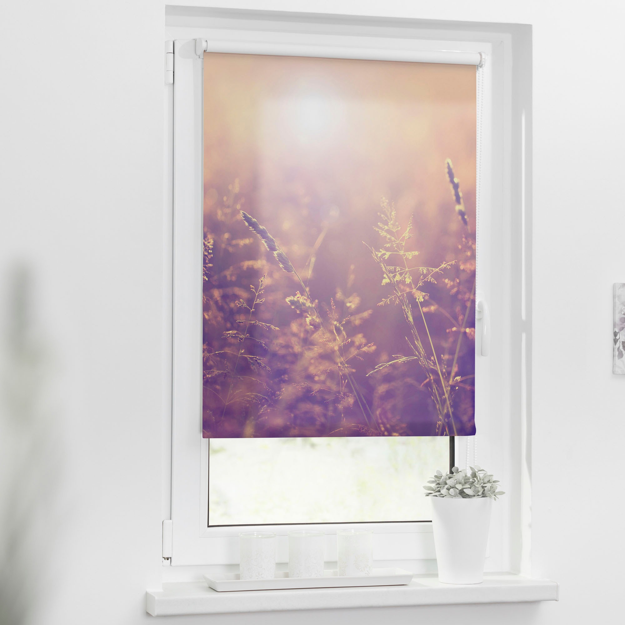 LICHTBLICK ORIGINAL Seitenzugrollo »Klemmfix Motiv Sommerabend« Lichtschutz ohne Bohren freihängend bedruckt