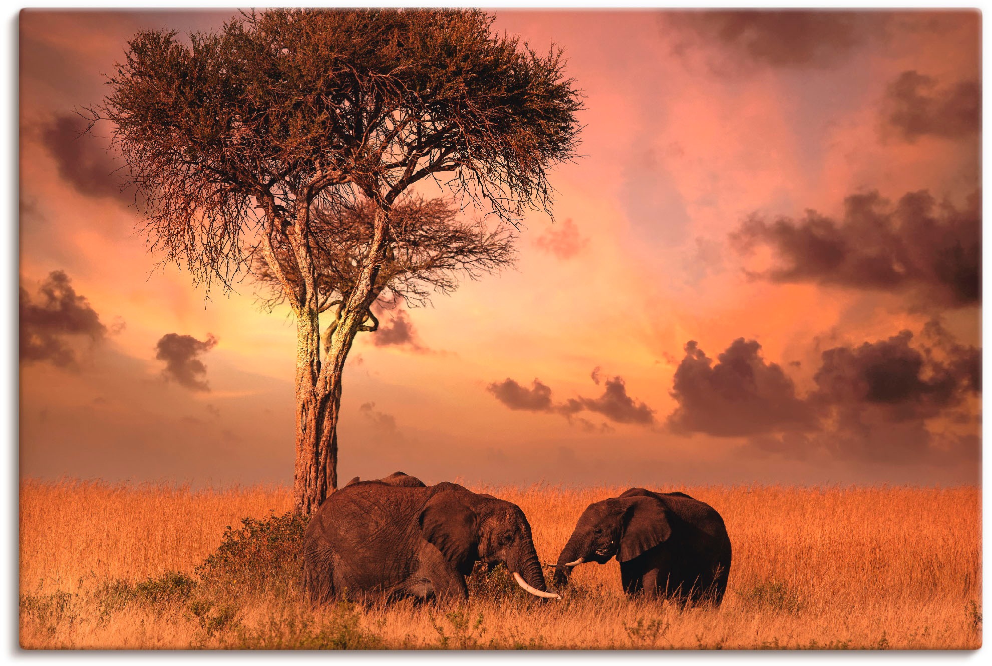 Artland Wandbild »Elefanten zum Abendessen«, Wildtiere, (1 St.), in vielen Größen & Produktarten - Alubild / Outdoorbild für den Außenbereich, Leinwandbild, Poster, Wandaufkleber / Wandtattoo auch für Badezimmer geeignet